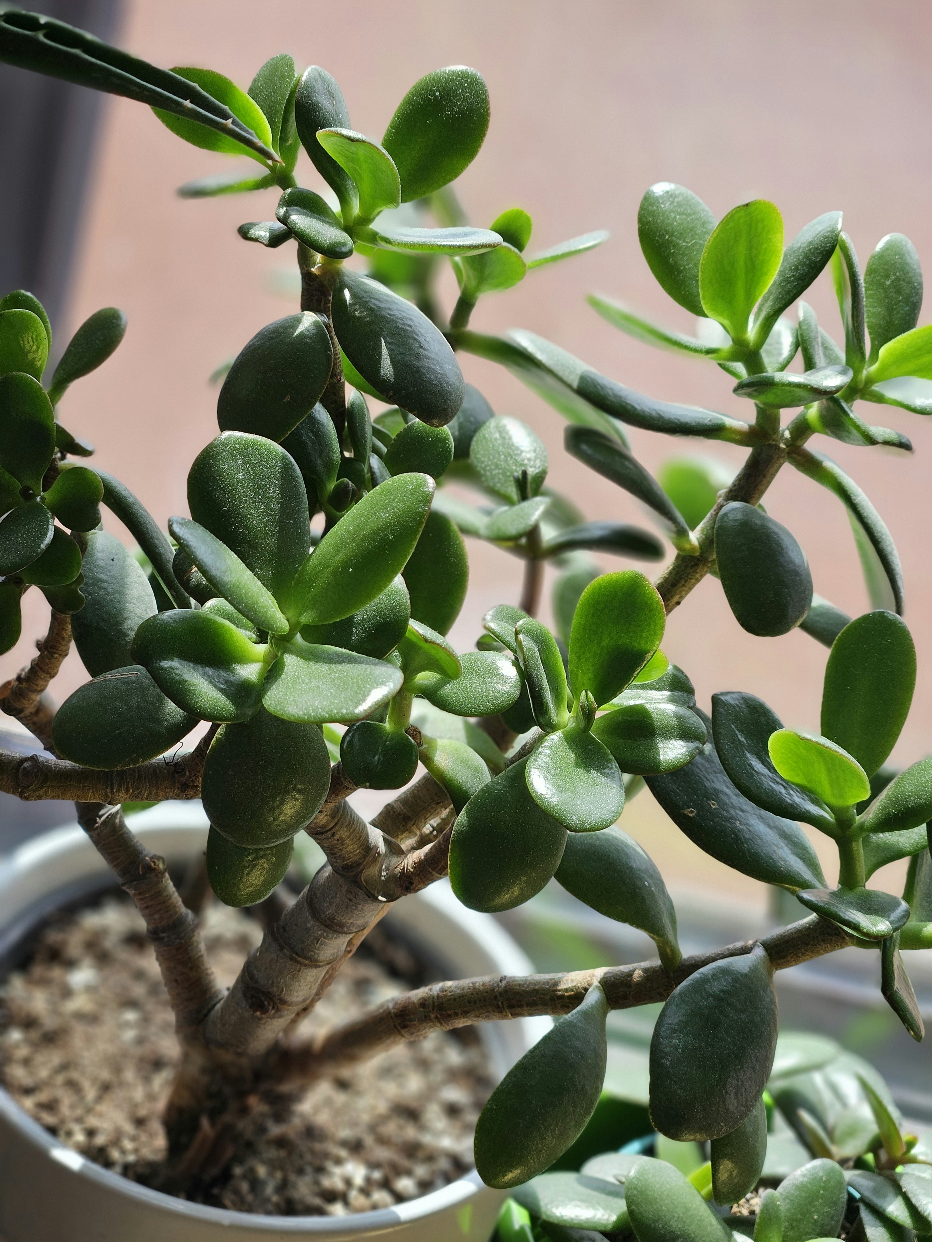 Photo by marjorylucabaxter