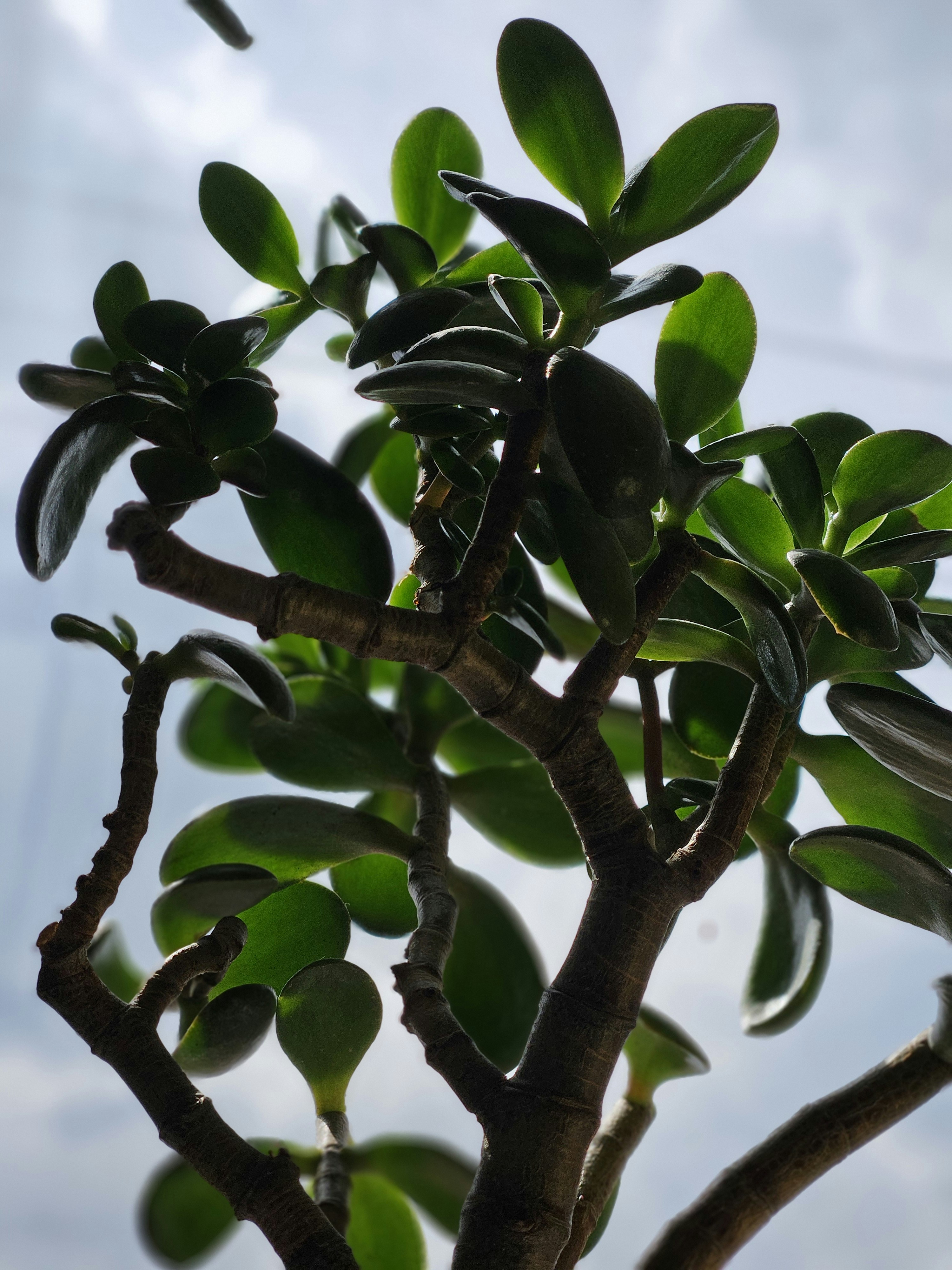 Photo by marjorylucabaxter