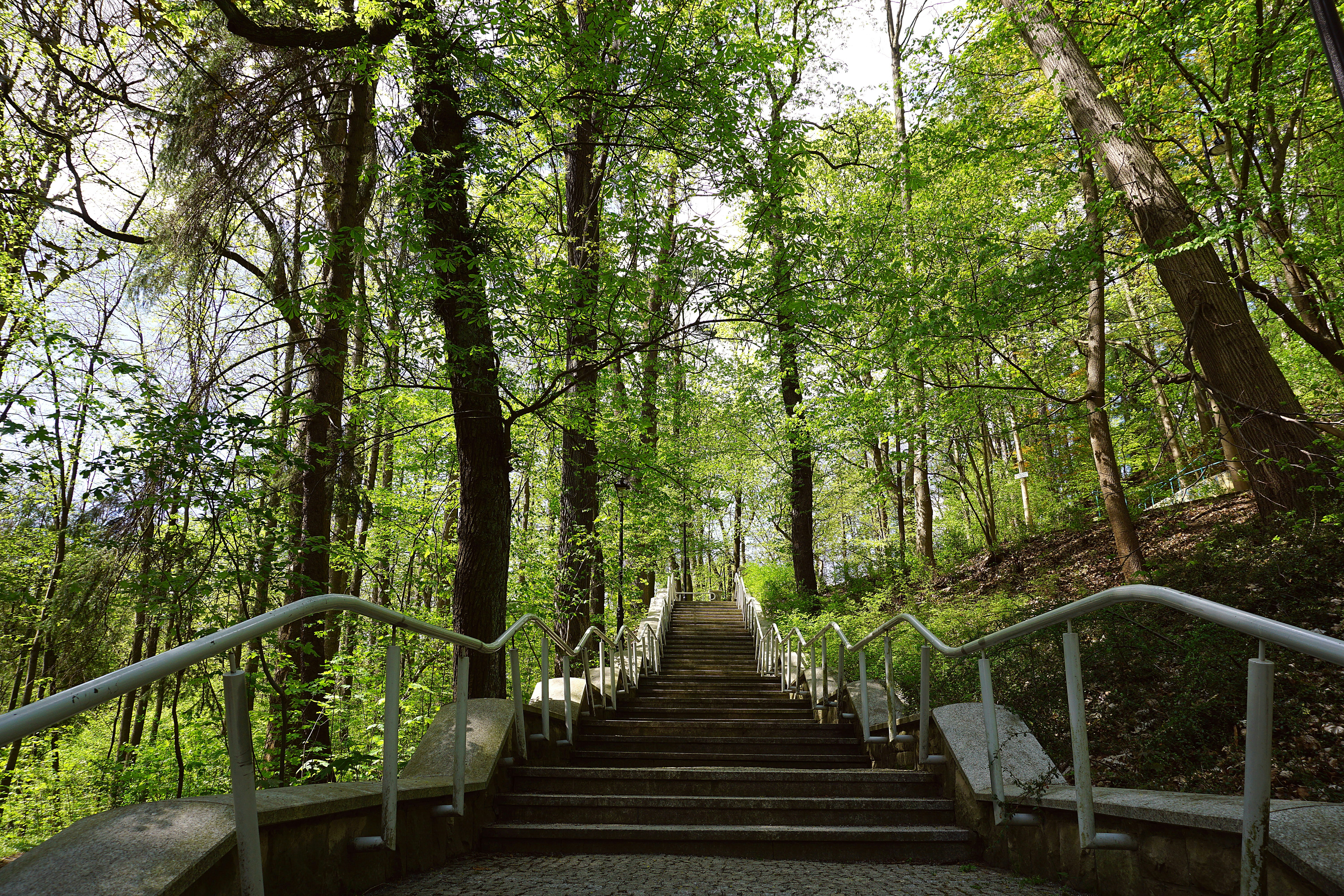 Firma Produkcyjno Usługowa Dyśko-Drew