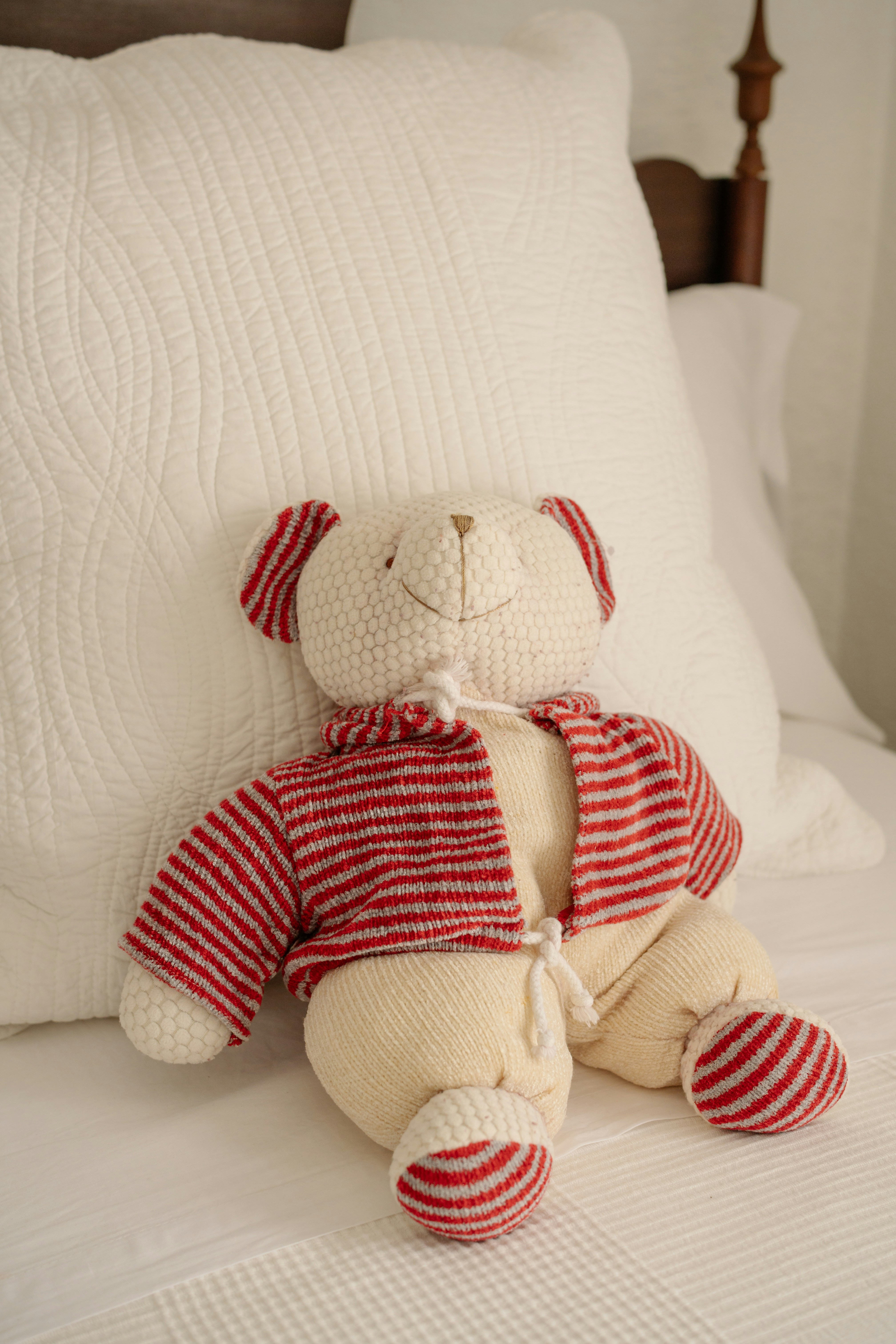 Photo by raymondpetrik