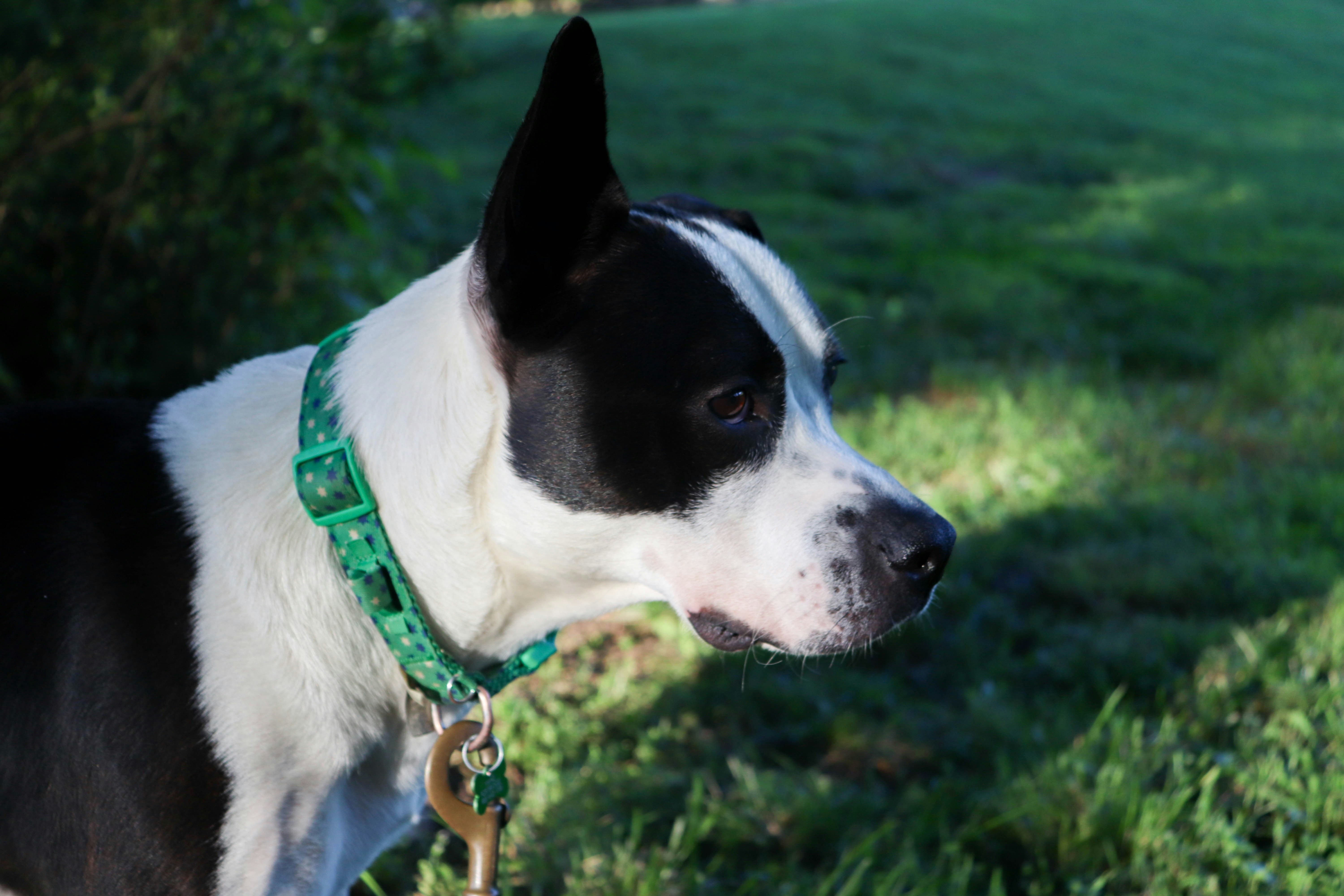 Photo by lroberts067