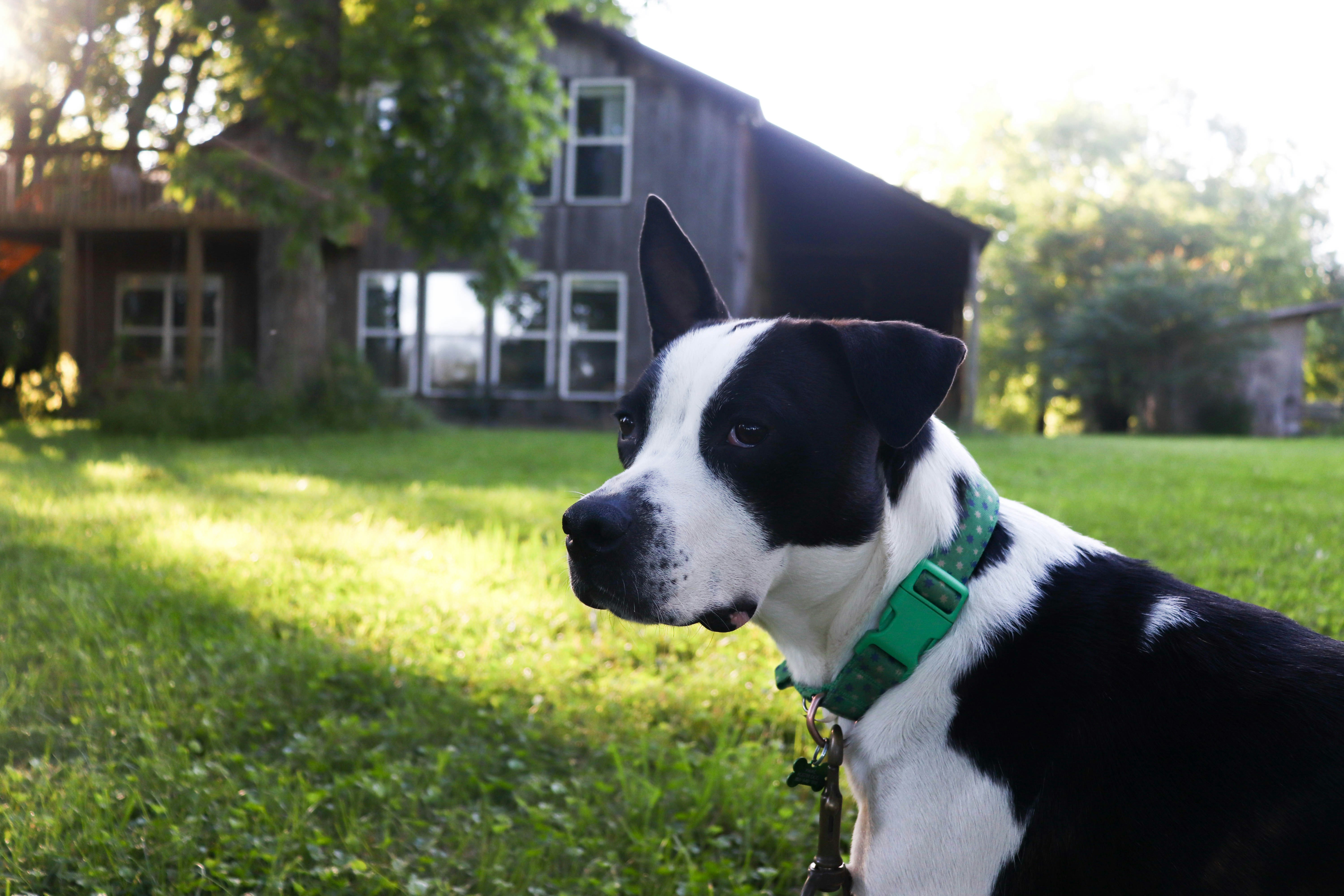 Photo by lroberts067