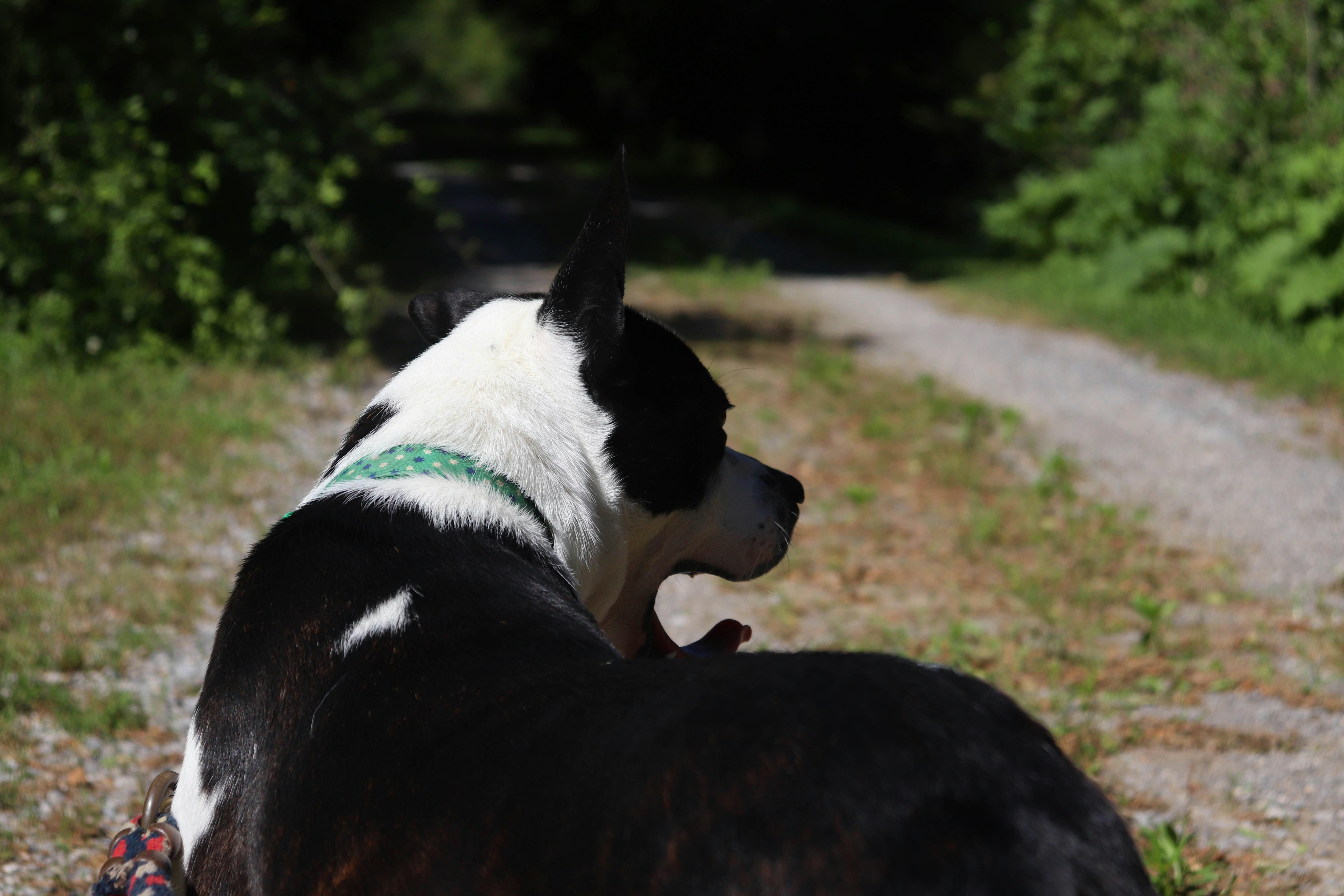 Photo by lroberts067