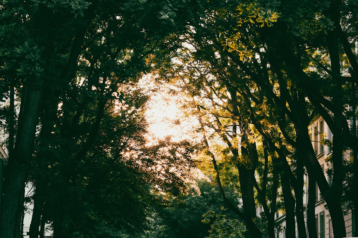 photo by Antonio Vivace (@avivace) on unsplash