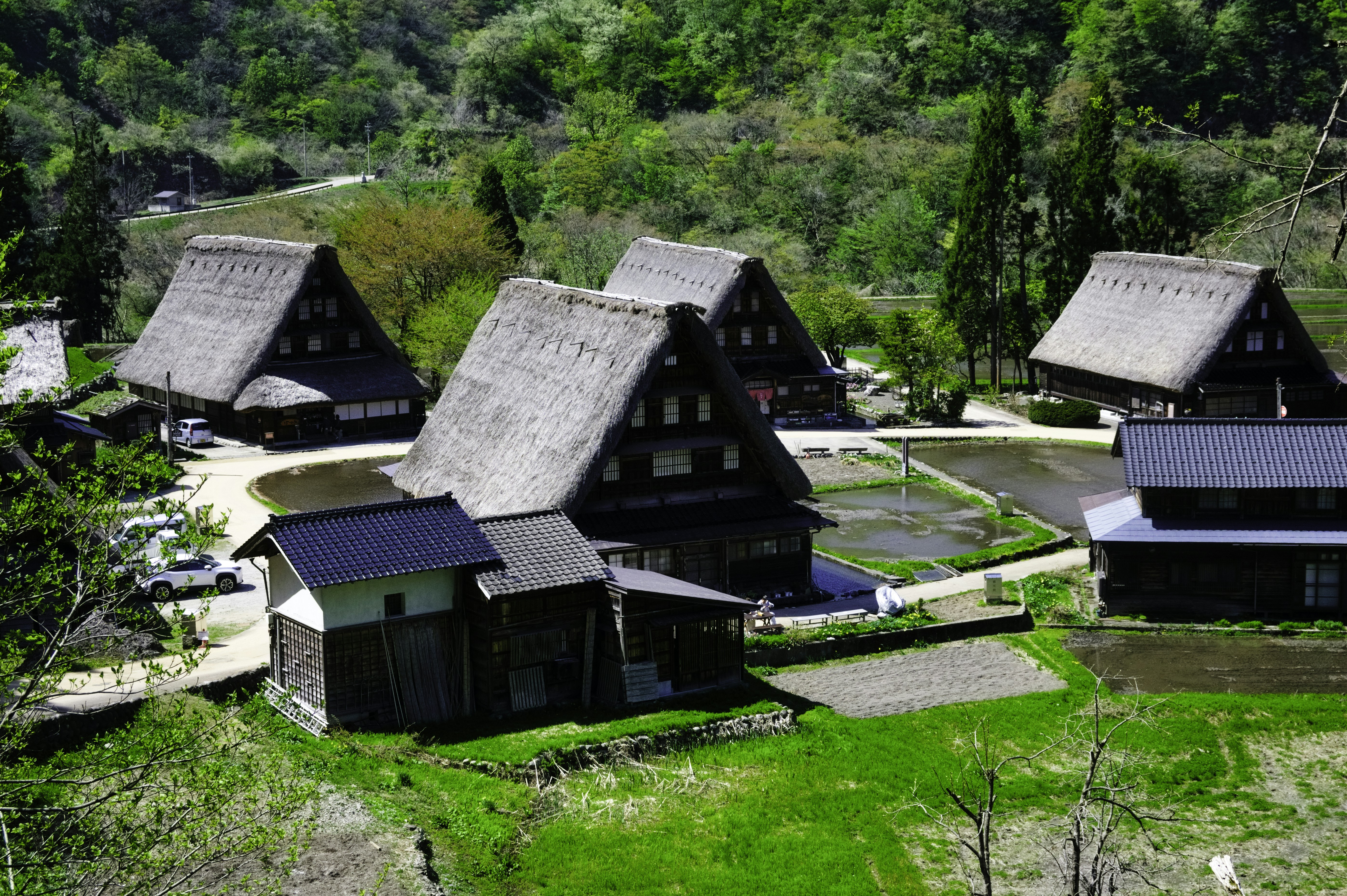 Traditional japanese houses in a lush, green landscape.