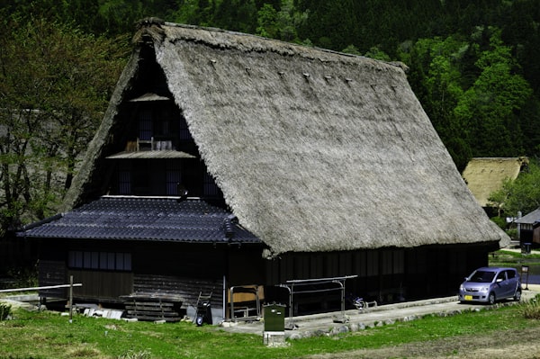 Local Guesthouses near Shimo-Kitazawa