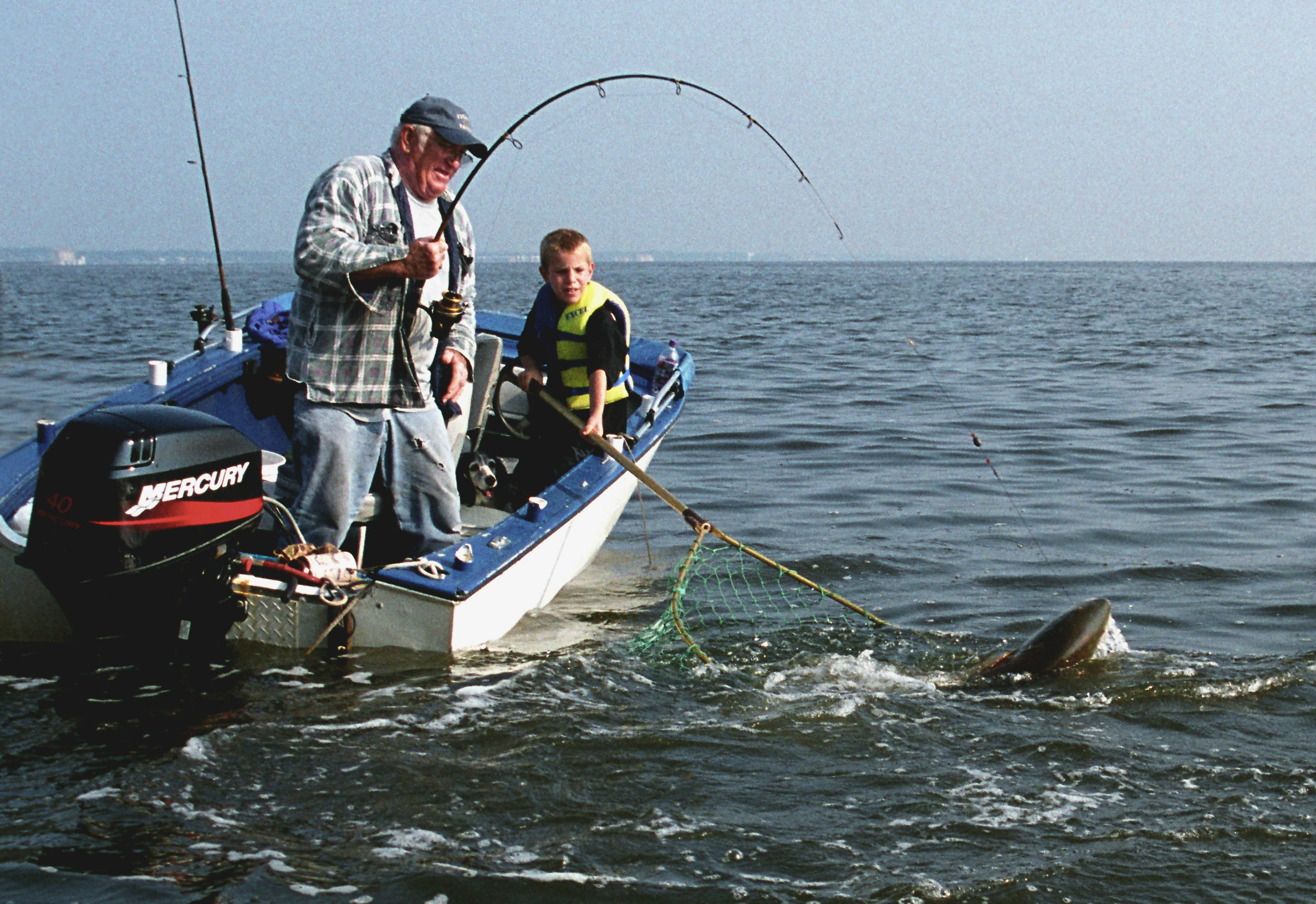 Catching and netting a big red fish in the Indian River Lagoon.