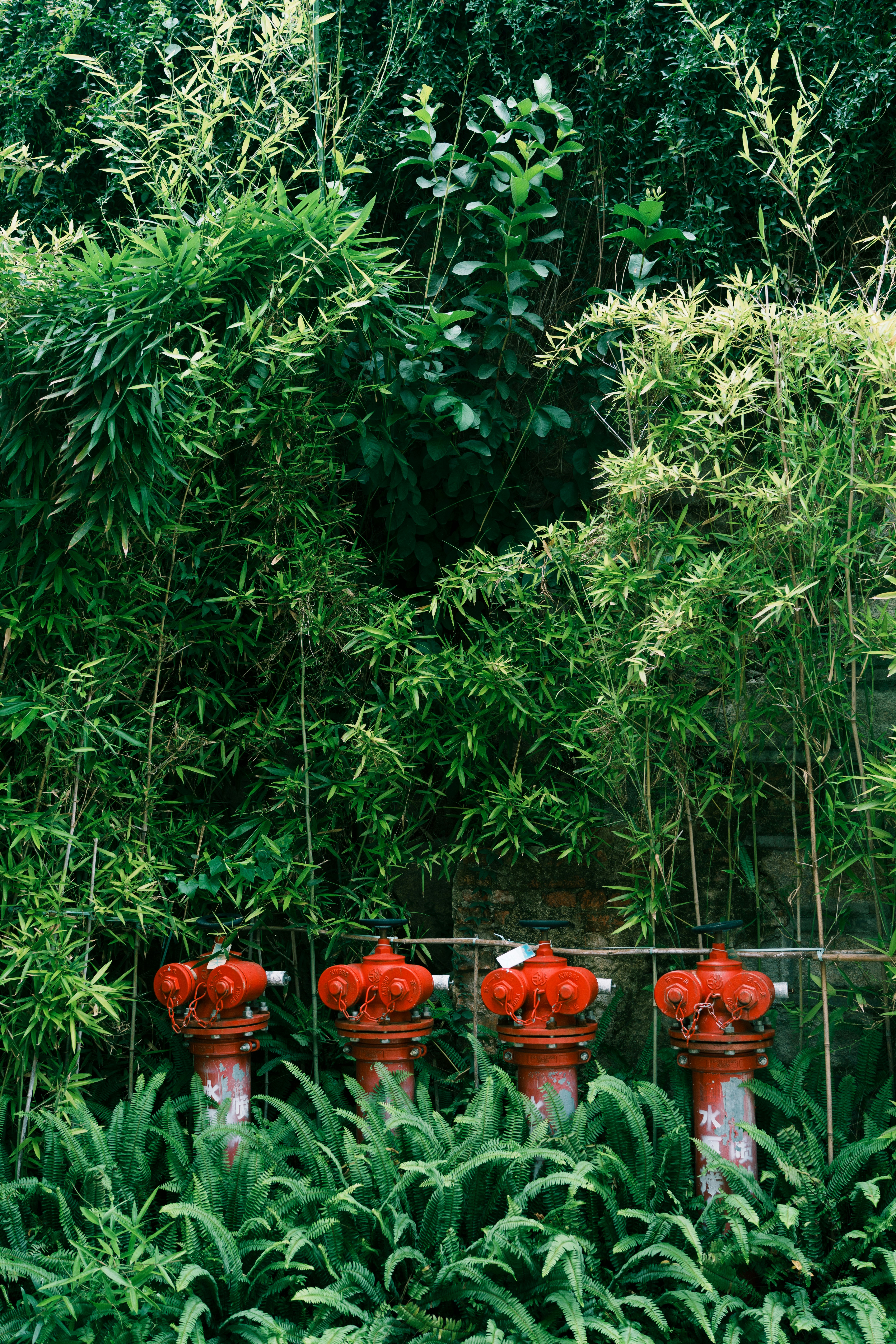 Photo by toxicsmoker