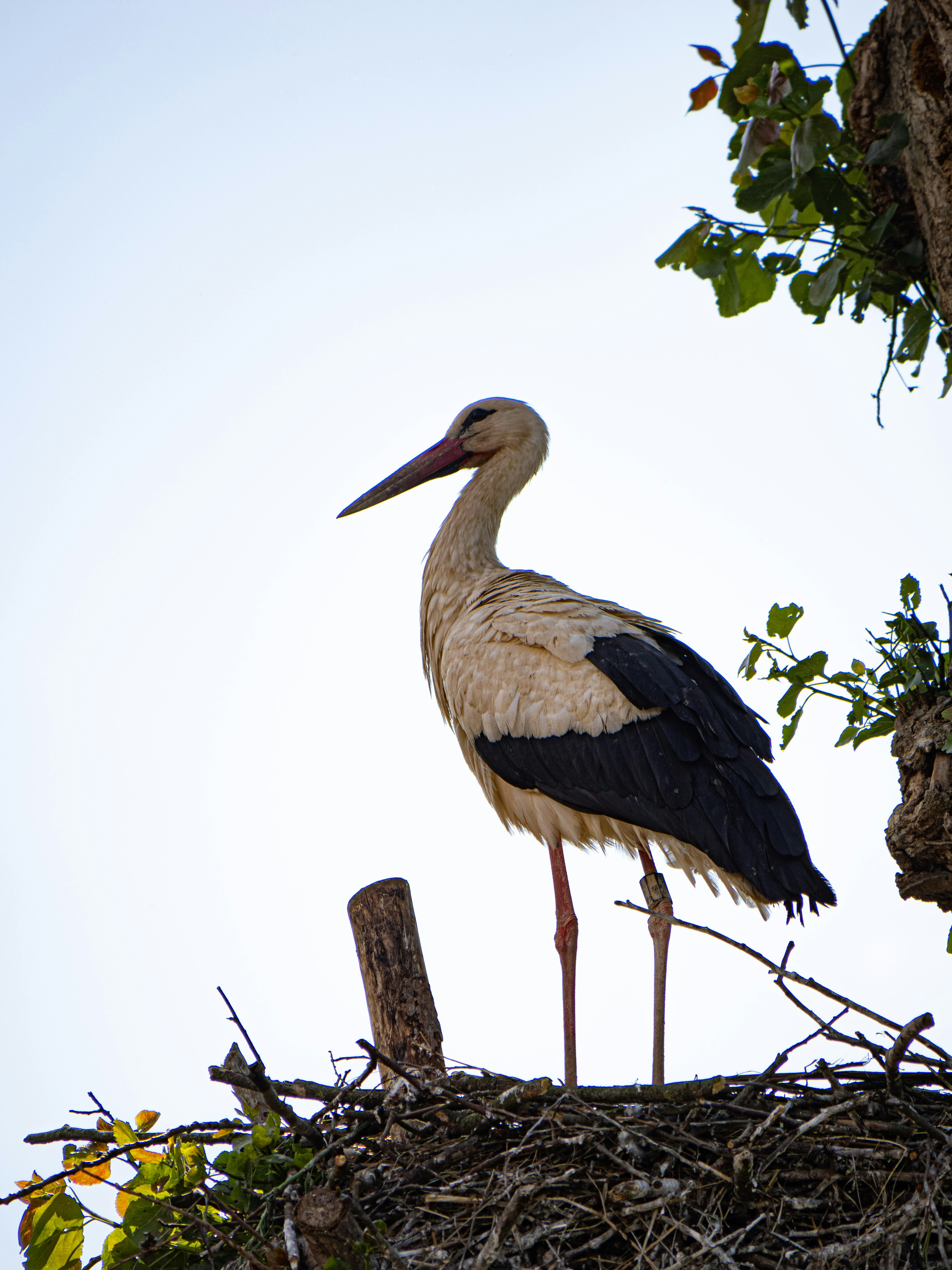 Photo by gopitri_prem