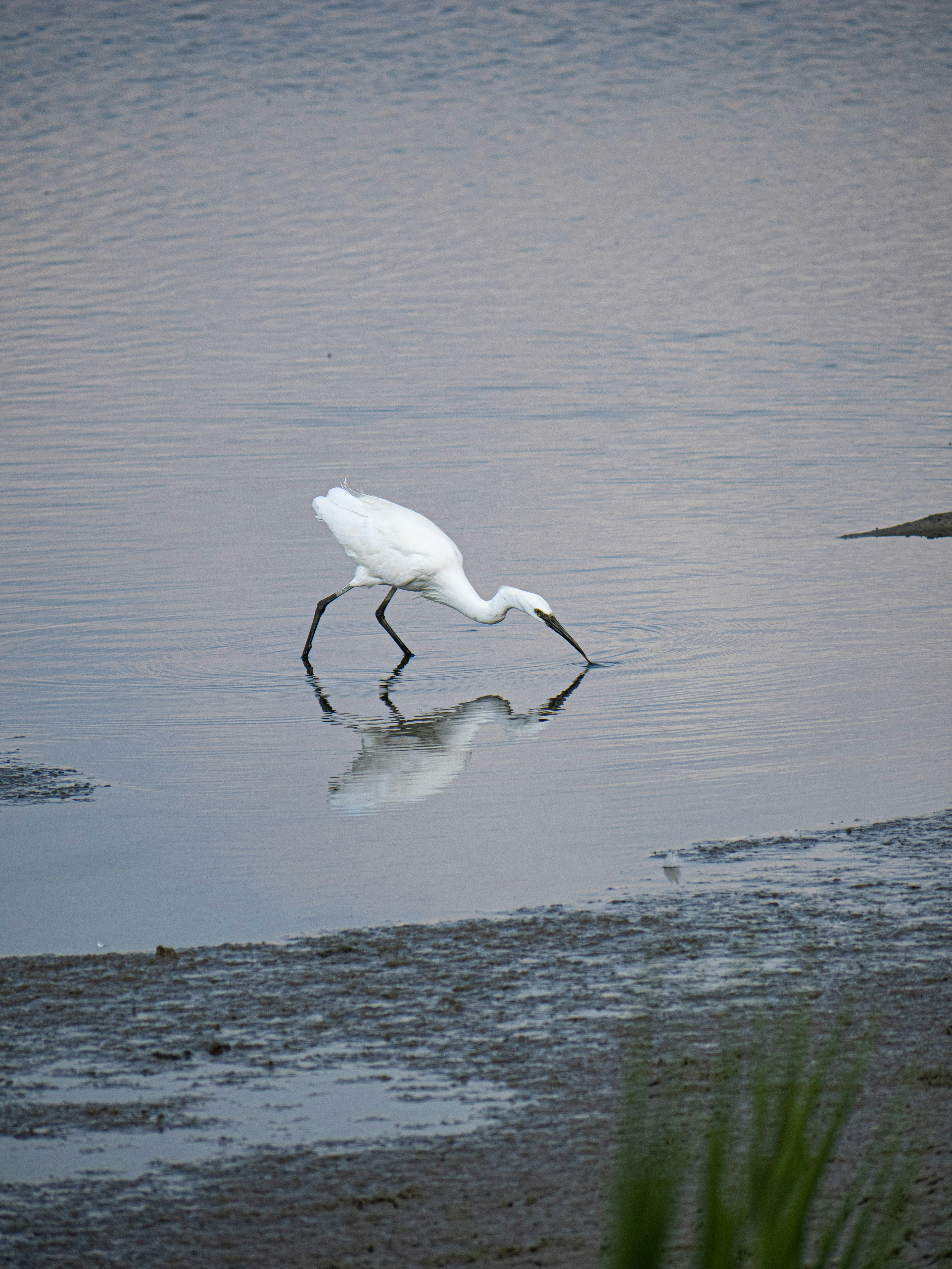 Photo by gopitri_prem