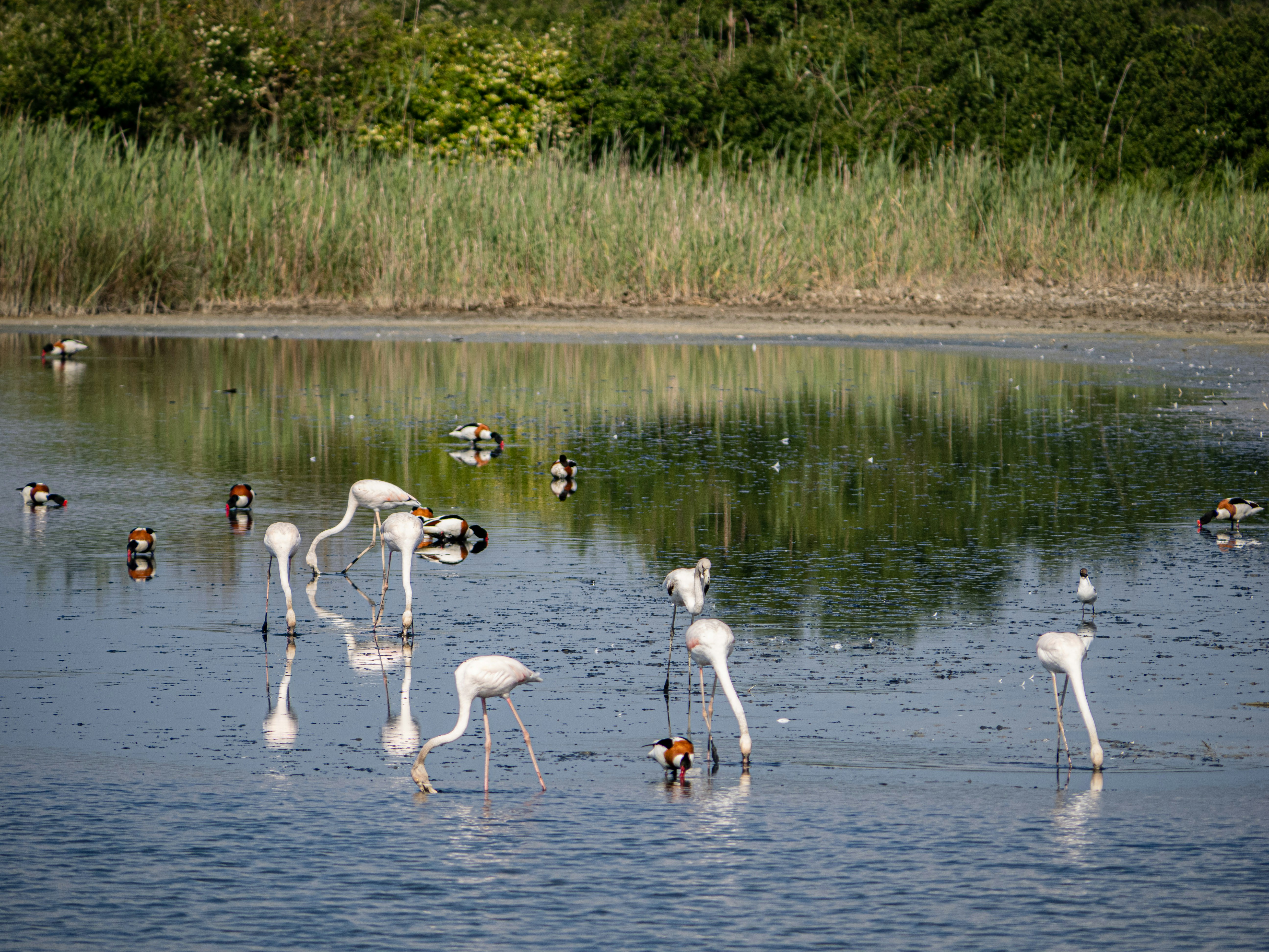 Photo by gopitri_prem