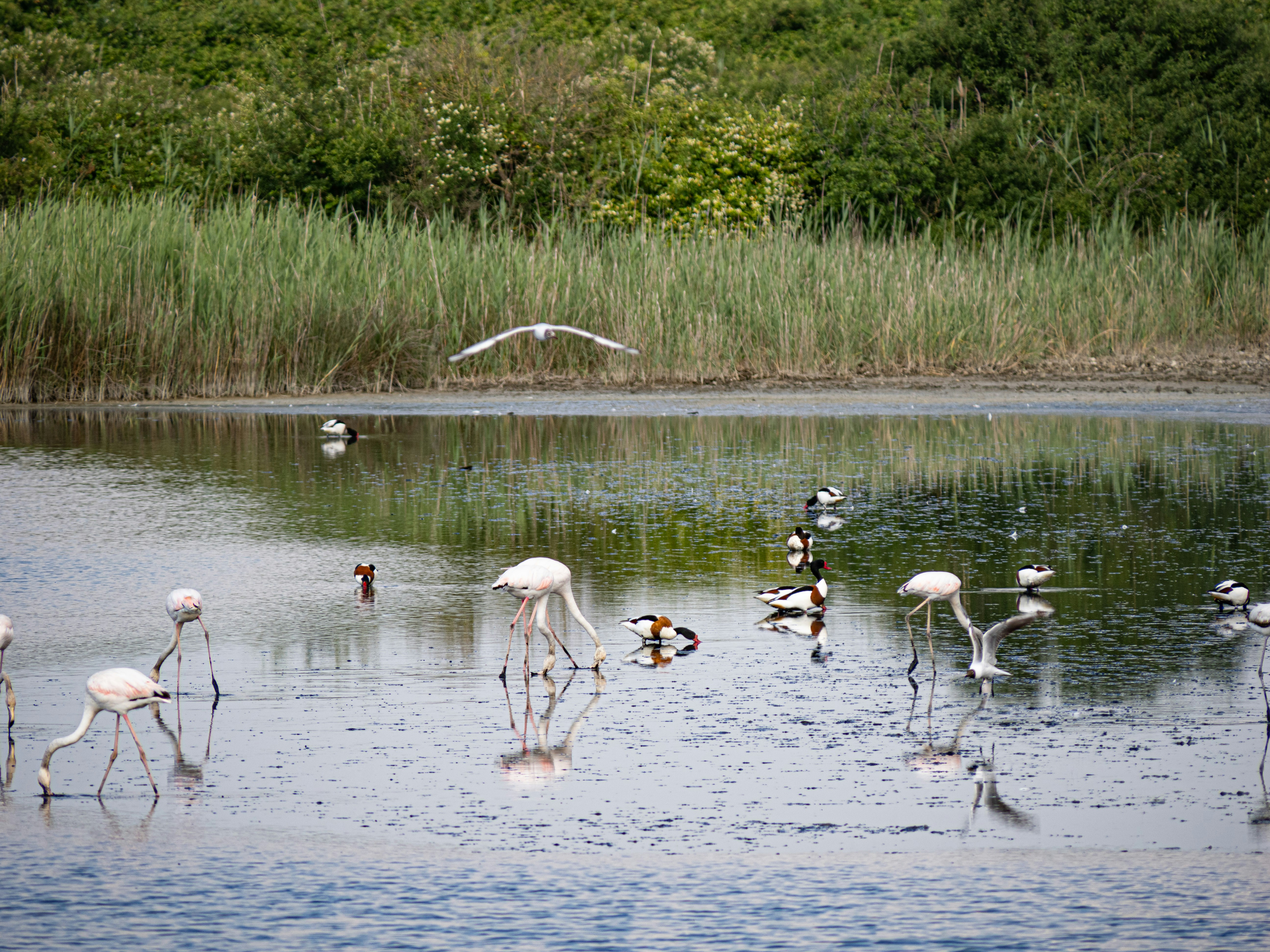 Photo by gopitri_prem