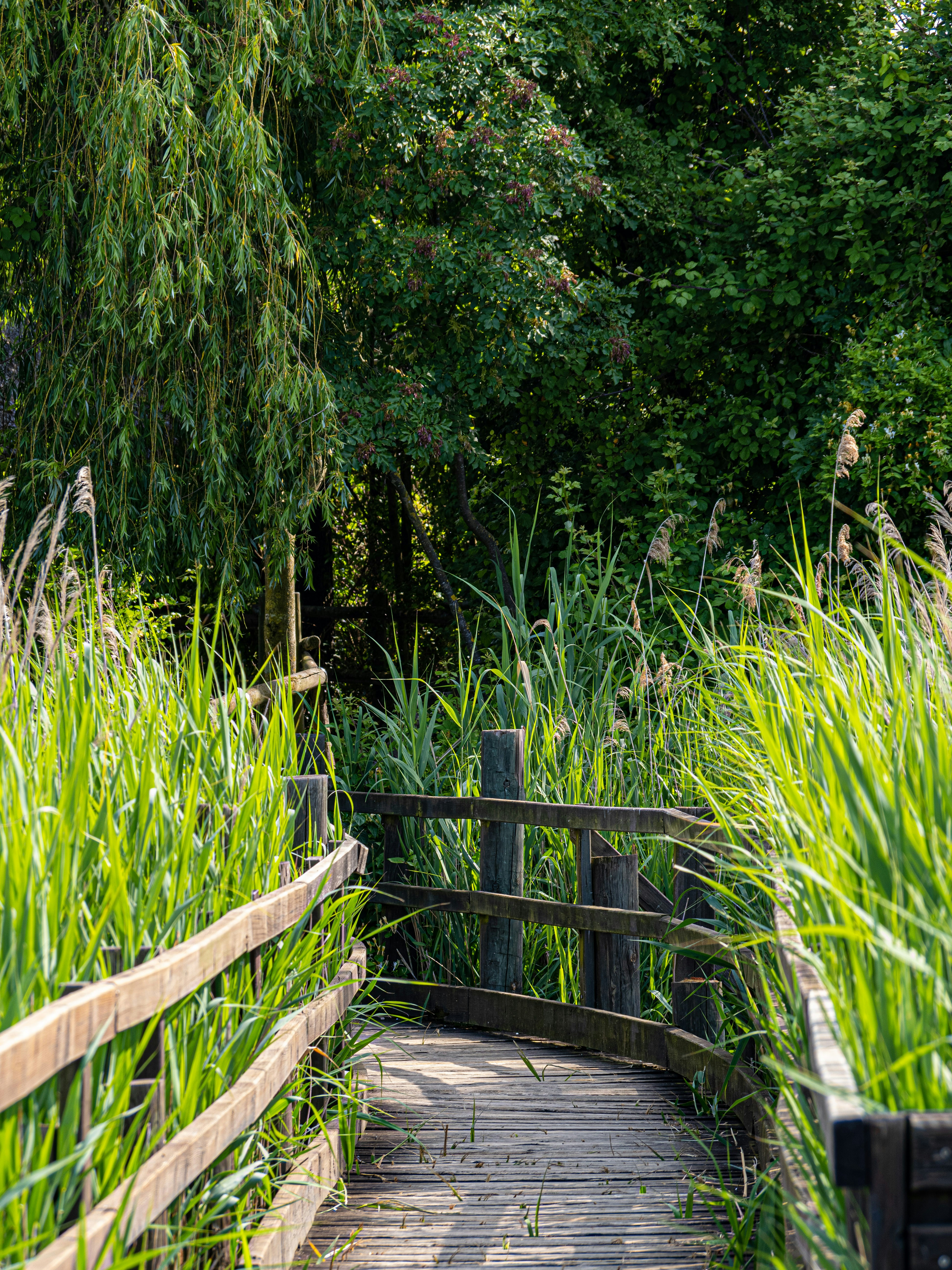 Photo by gopitri_prem