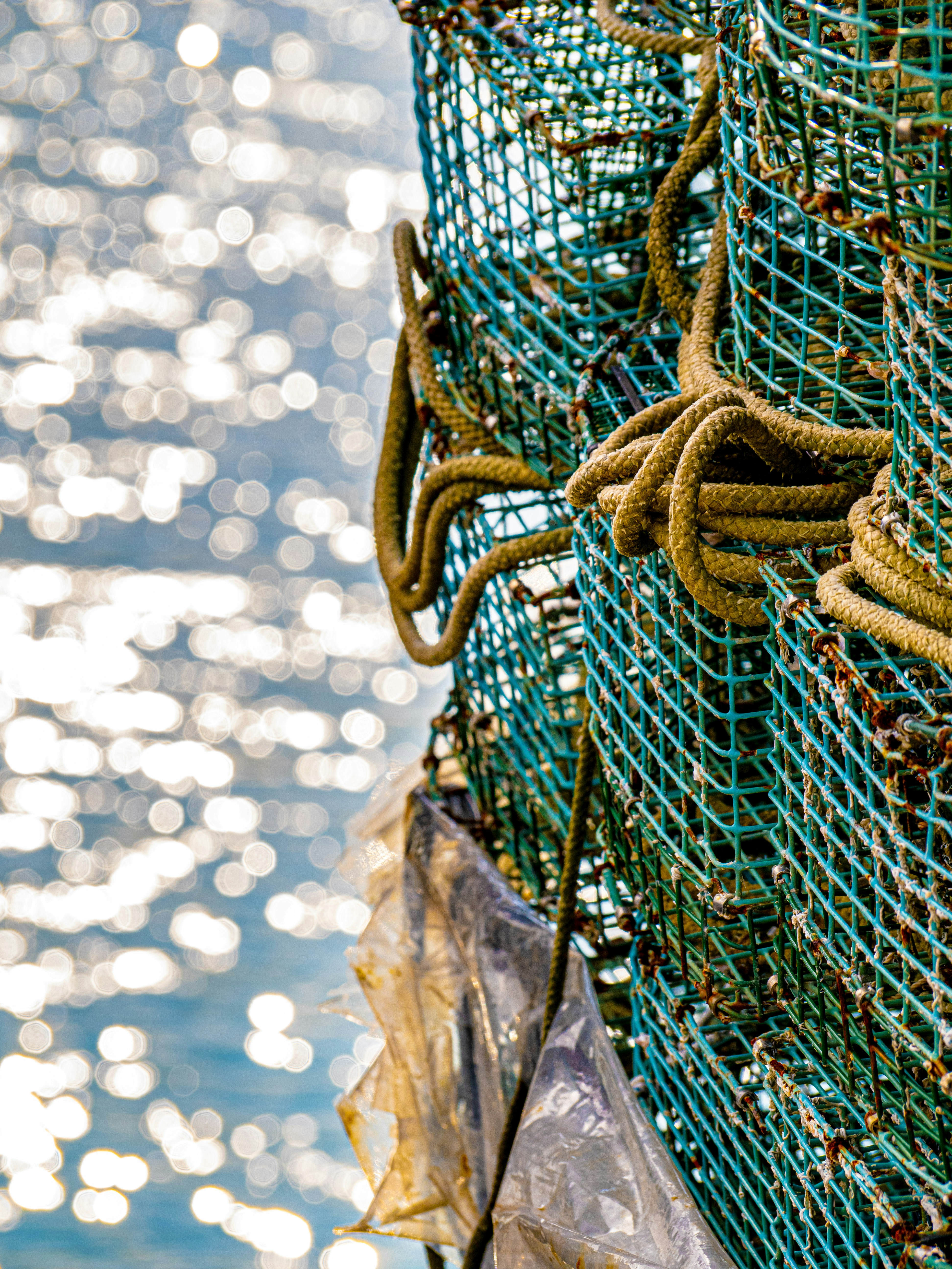 Photo by gopitri_prem