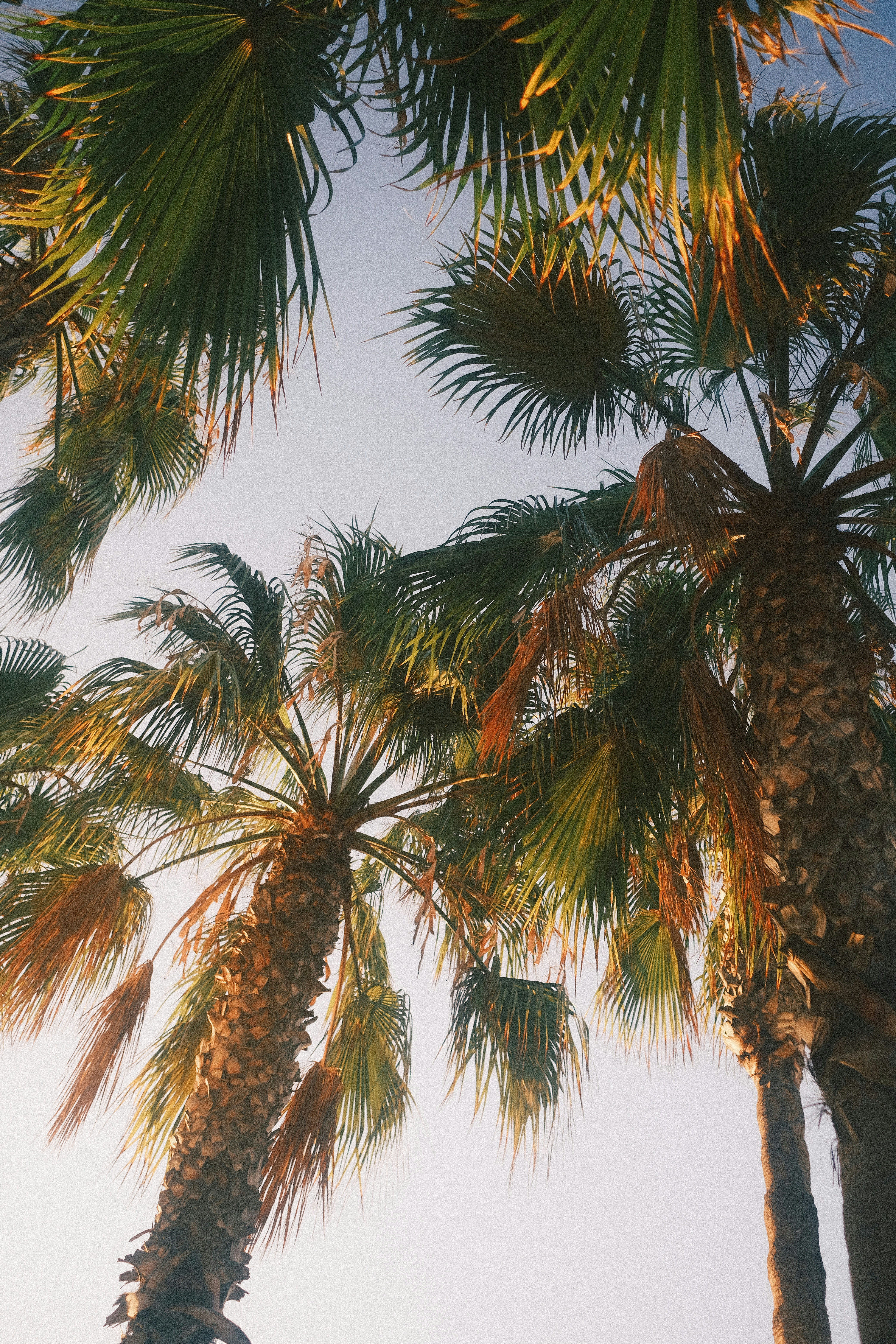 Photo by visualsbying