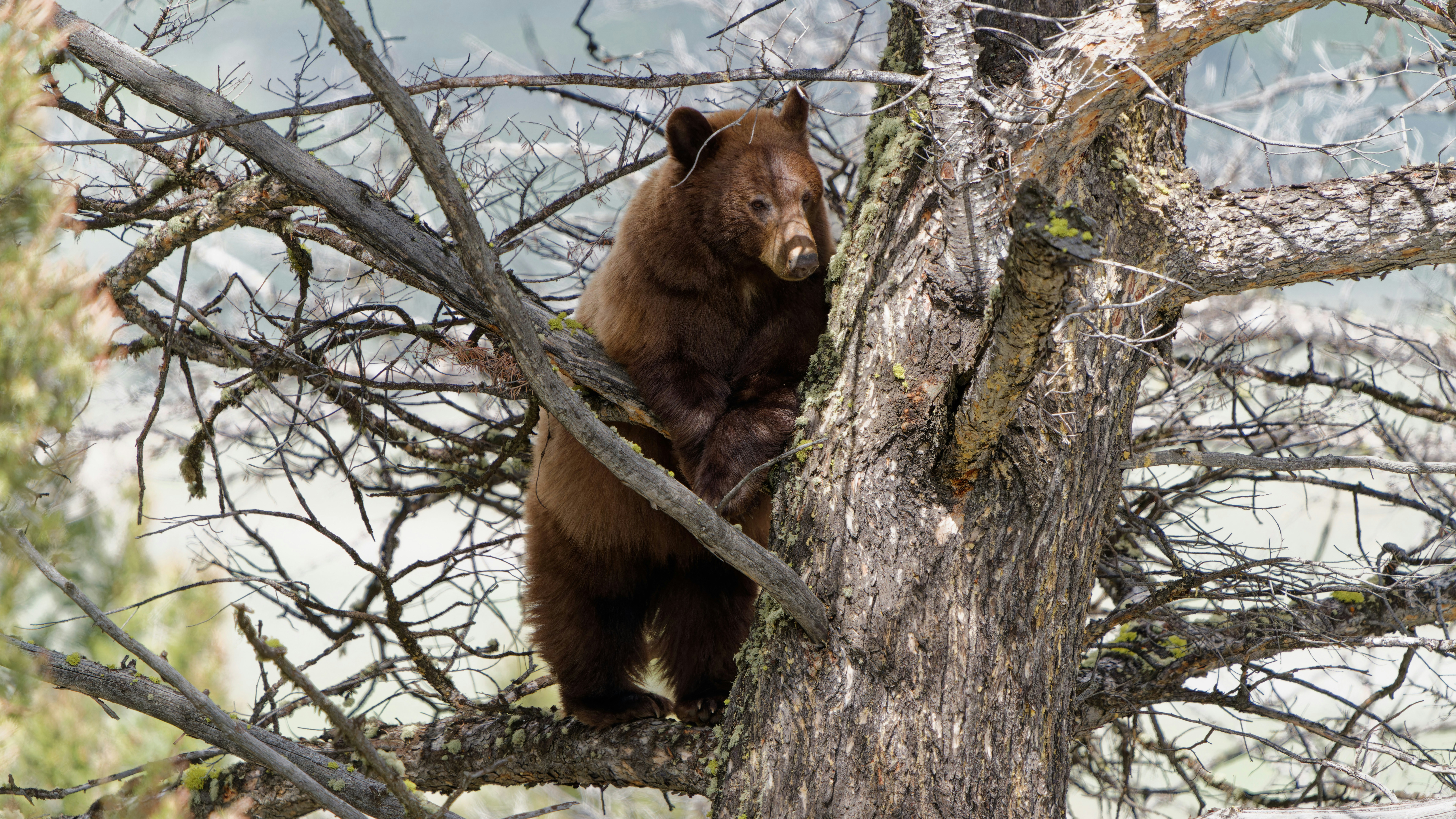 Photo by patrickbigelow_zoom_in