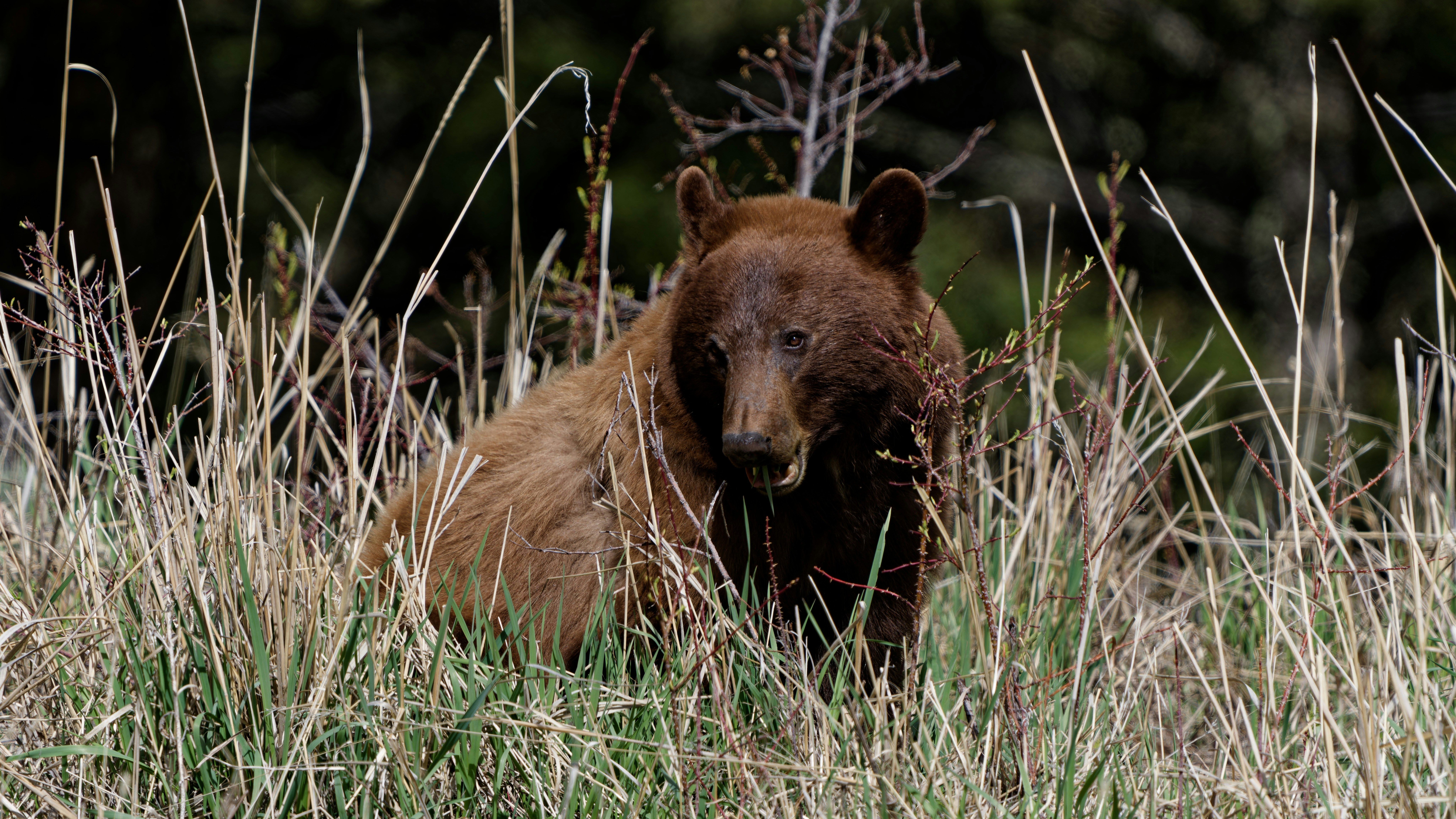 Photo by patrickbigelow_zoom_in