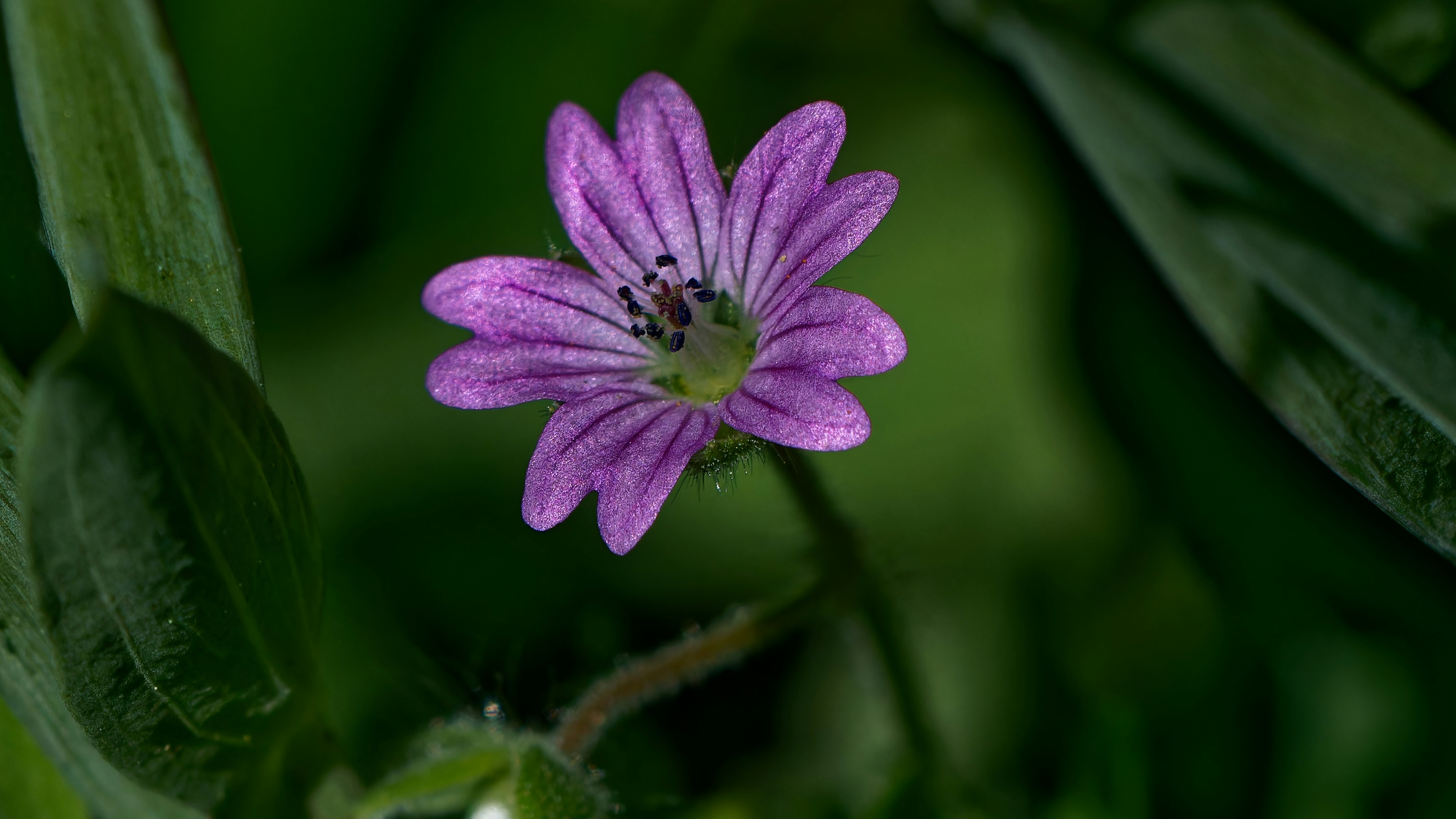 Photo by patrickbigelow_zoom_in