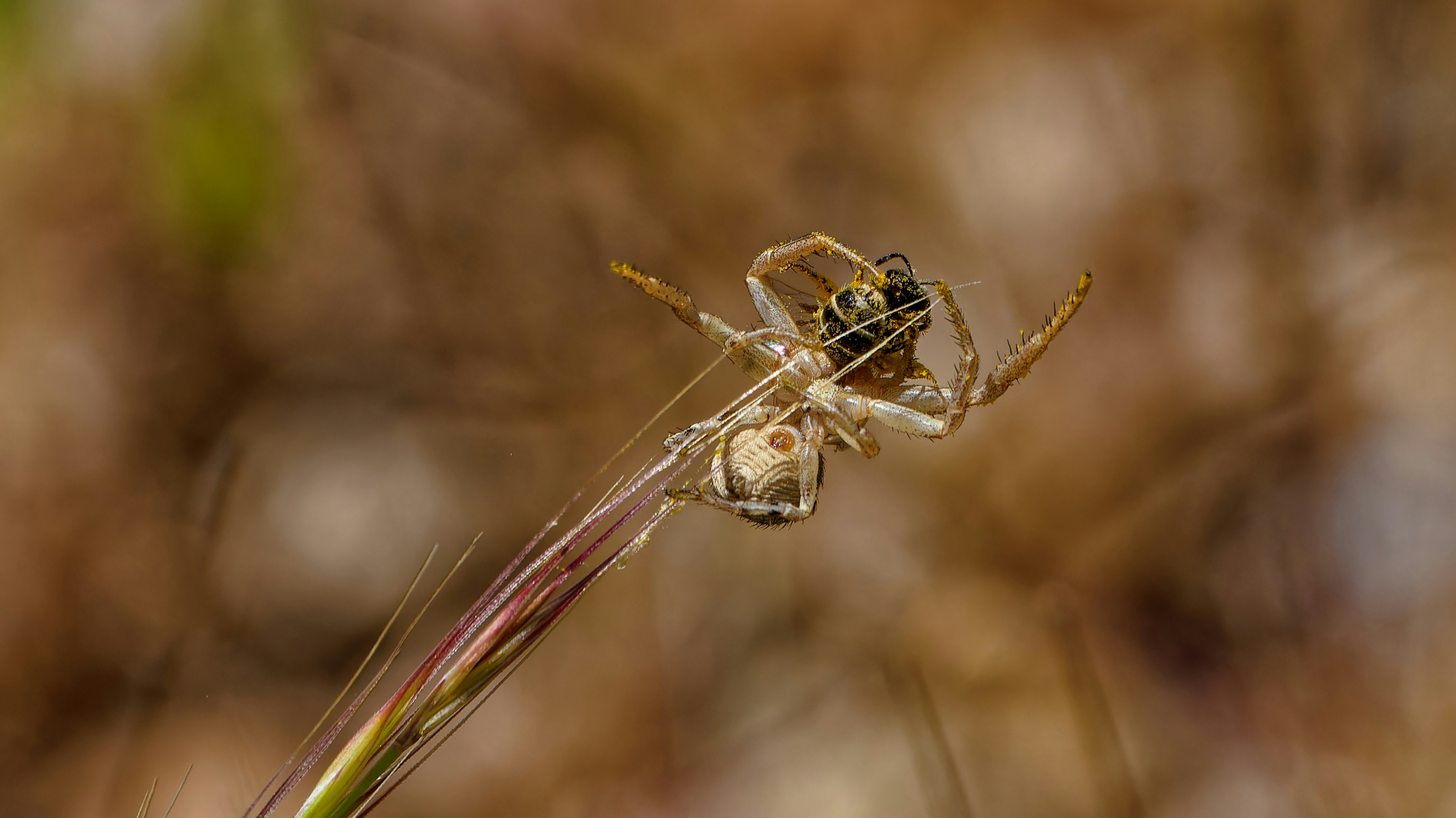 Photo by patrickbigelow_zoom_in