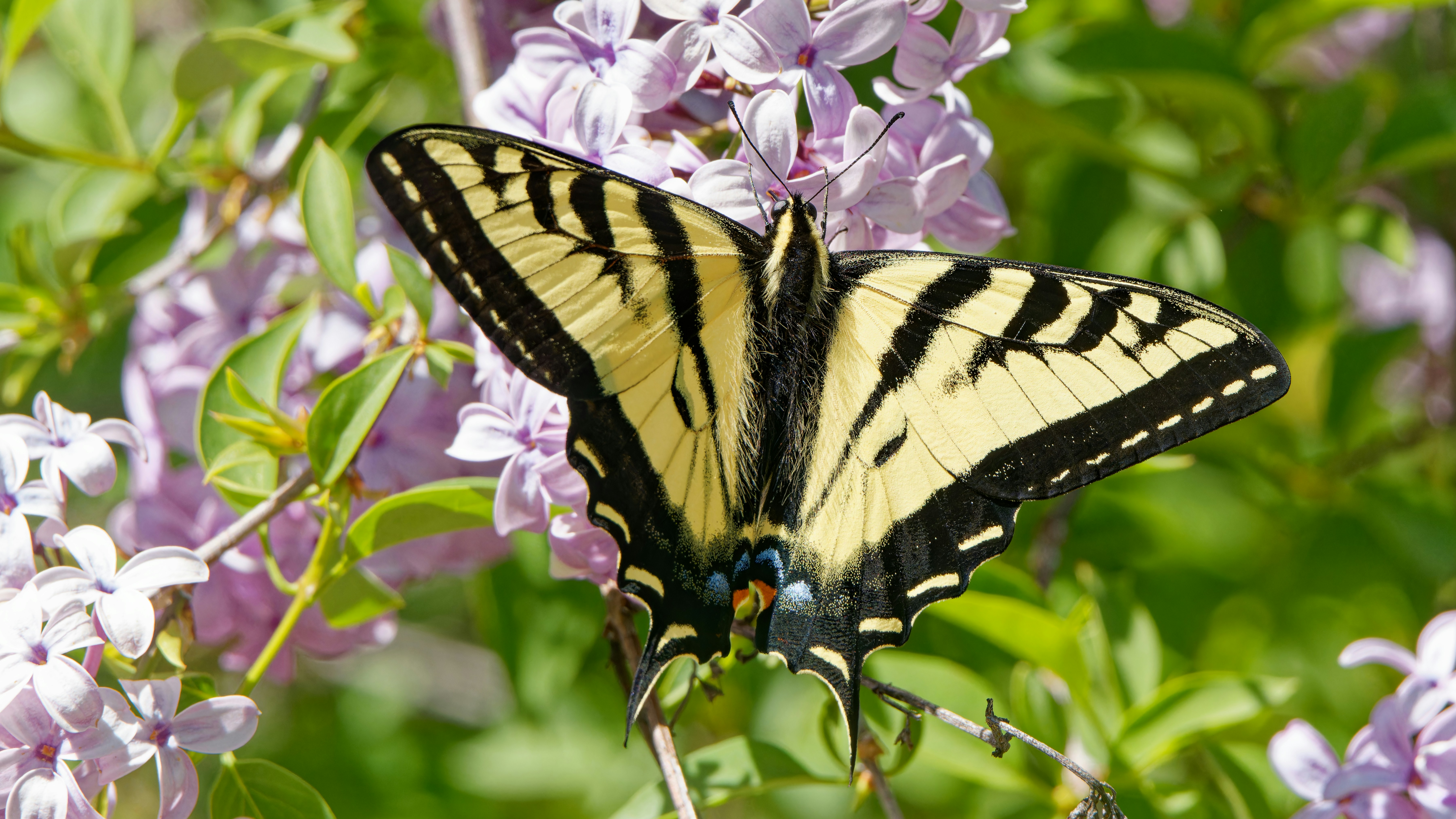 Photo by patrickbigelow_zoom_in