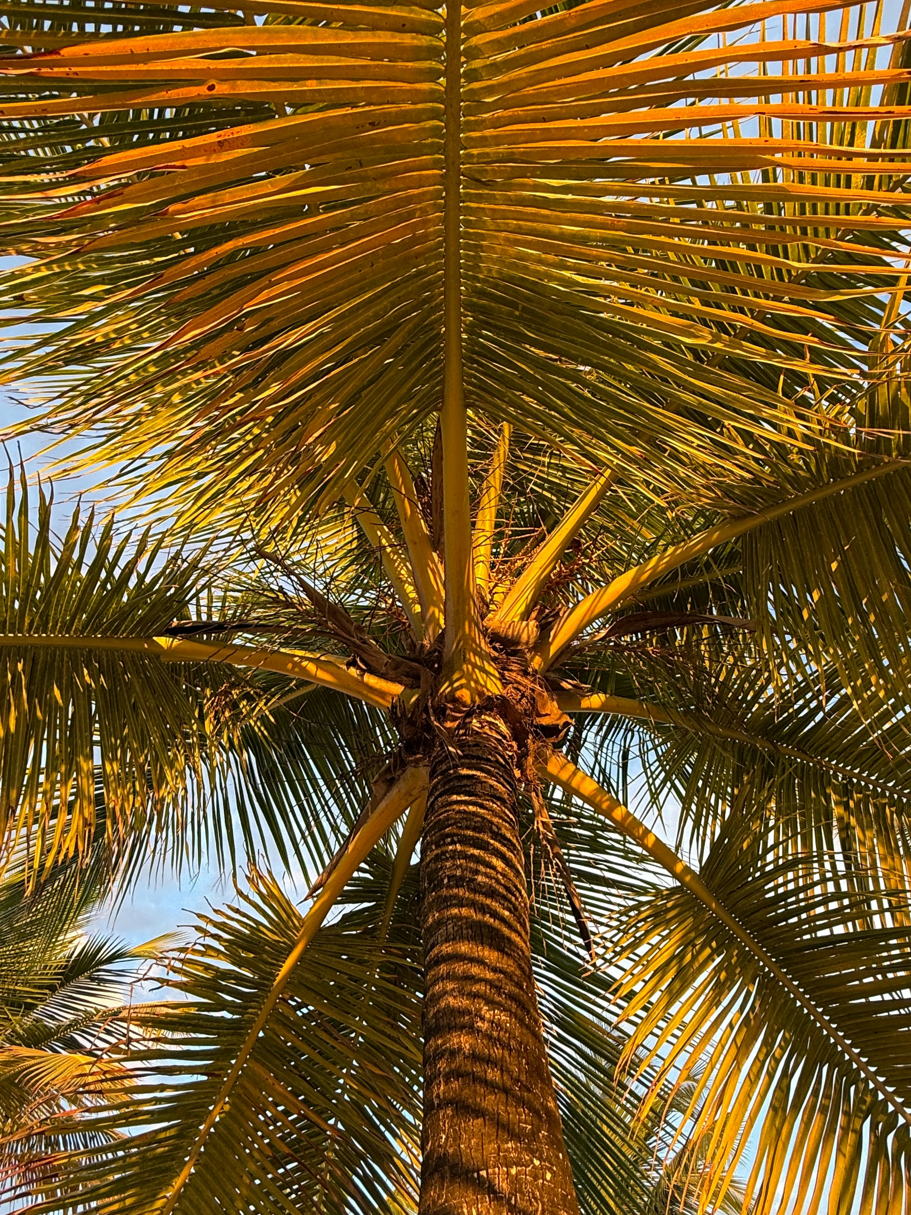 Photo by elevateitnow