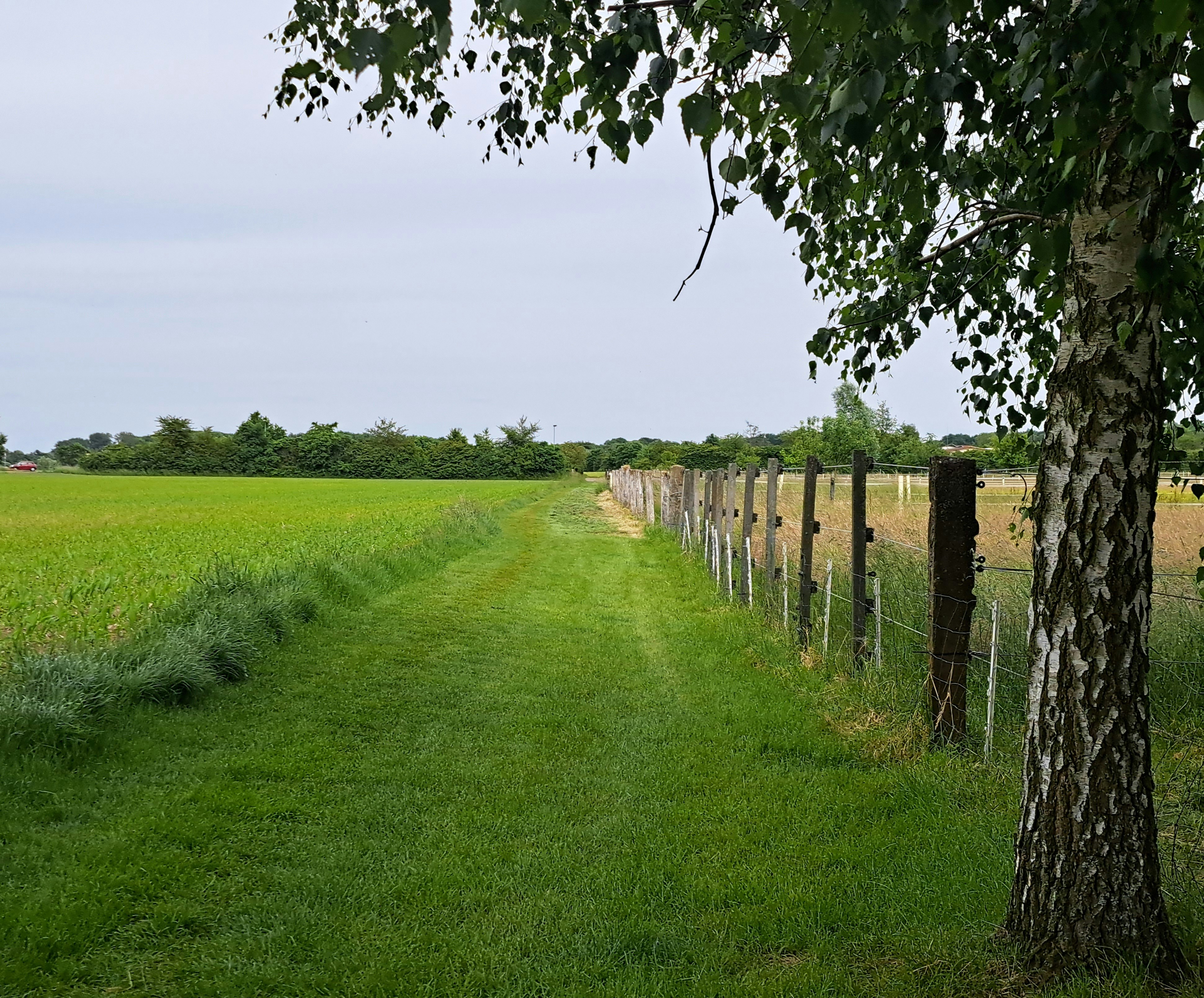 Photo by schreibmich