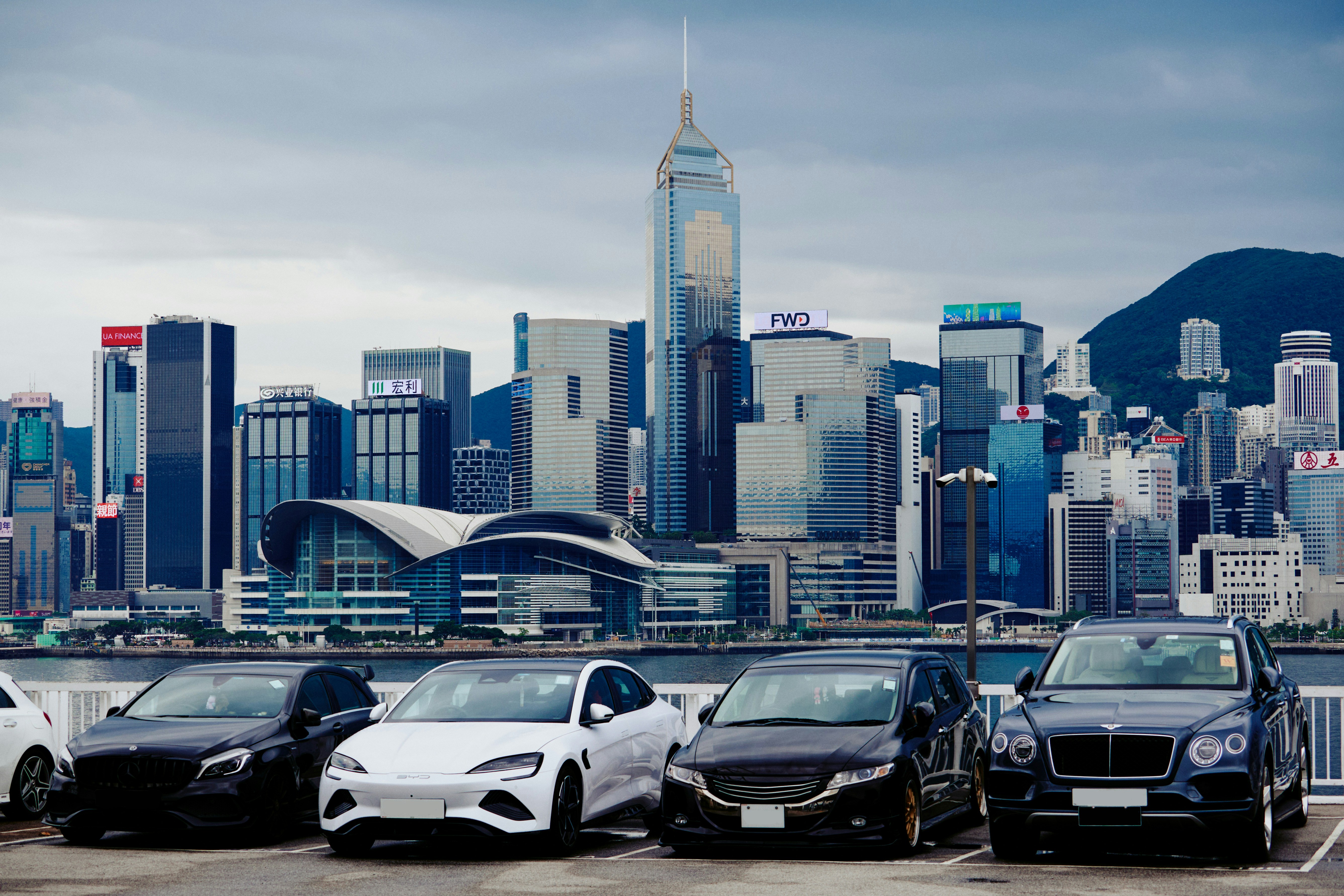 Cars parked with a skyline in the background.