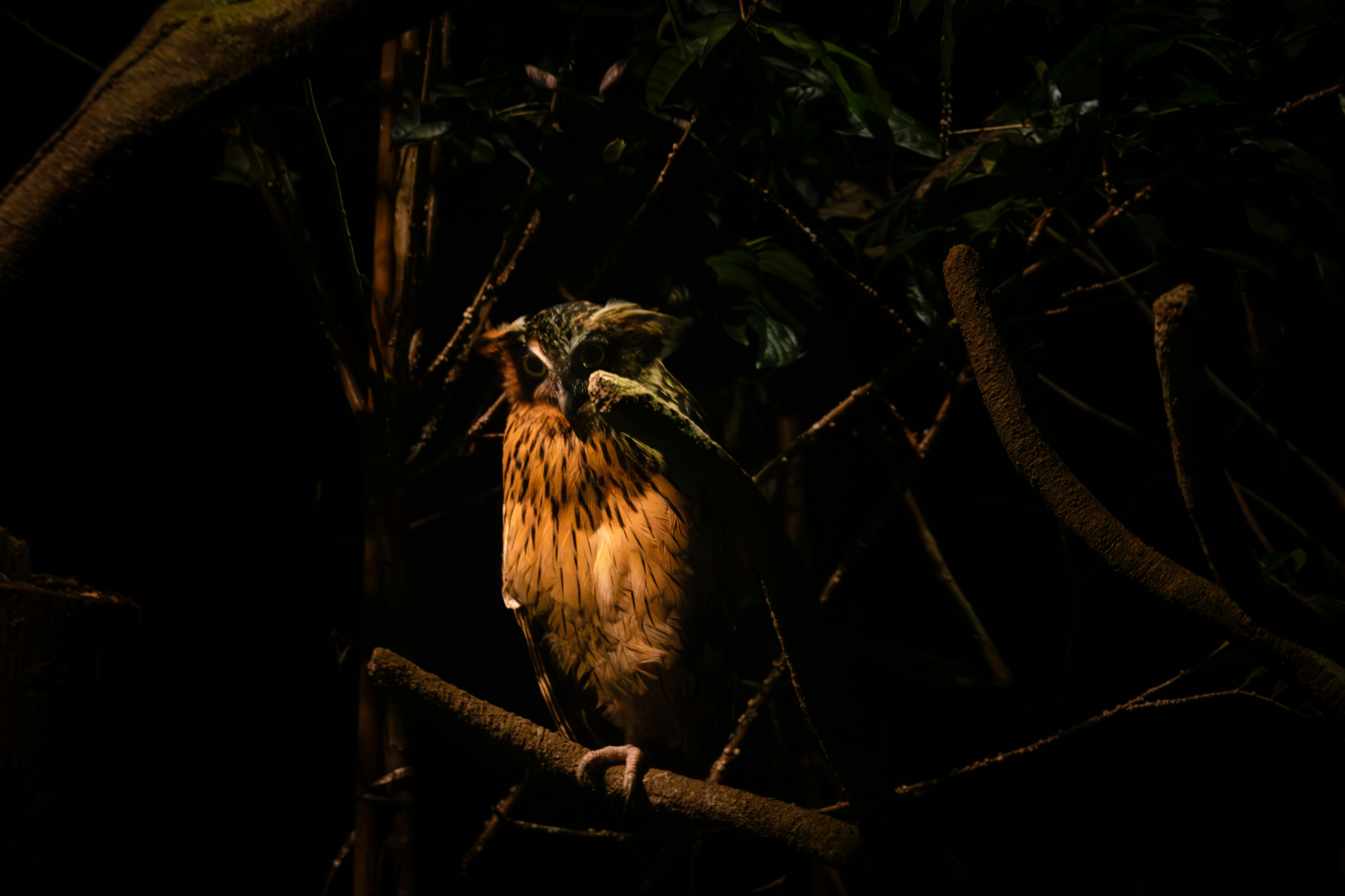 The Night Tours: When Magic Happens After Dark (image credits: unsplash)