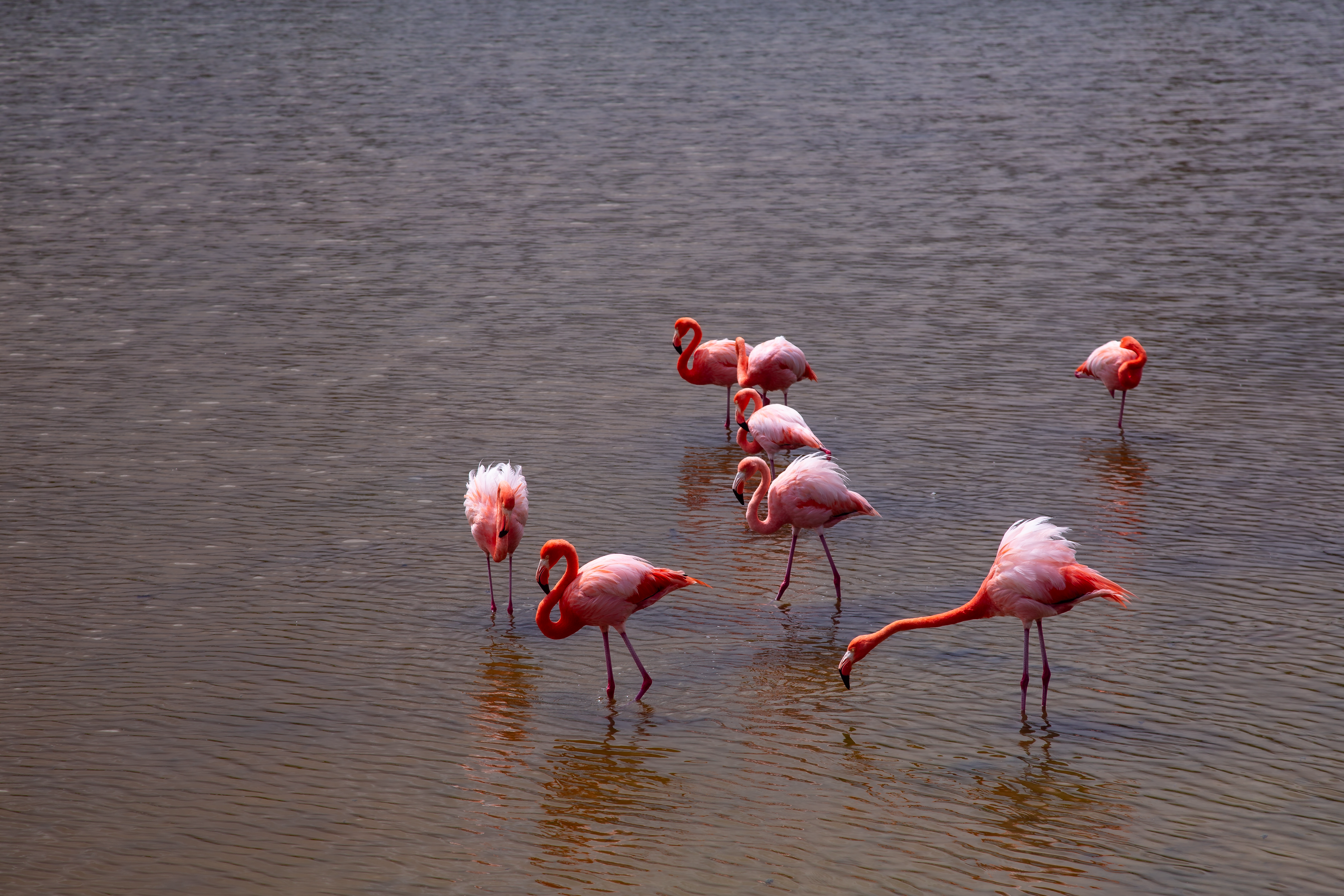 Photo by sofiatheexplorer