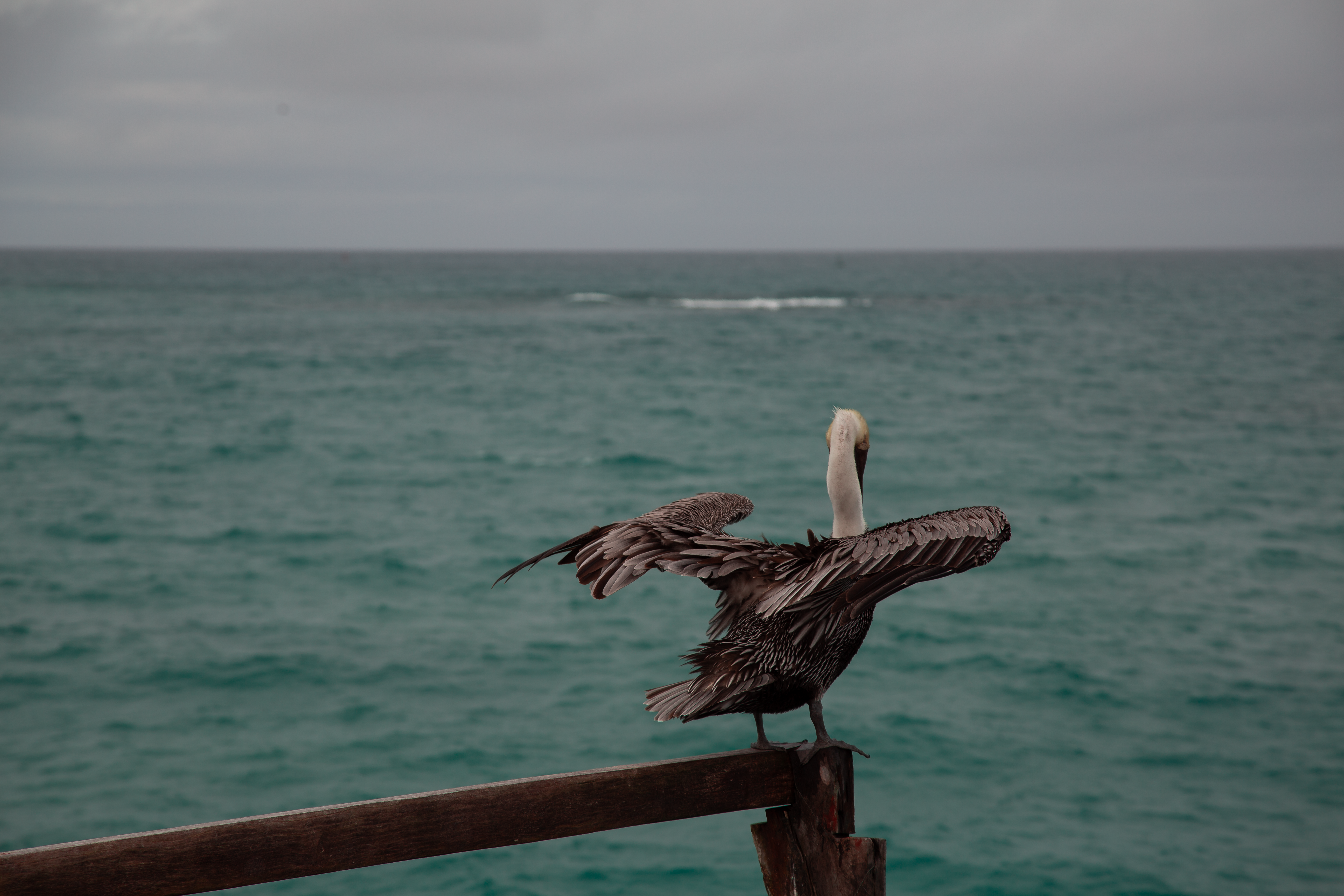 Photo by sofiatheexplorer