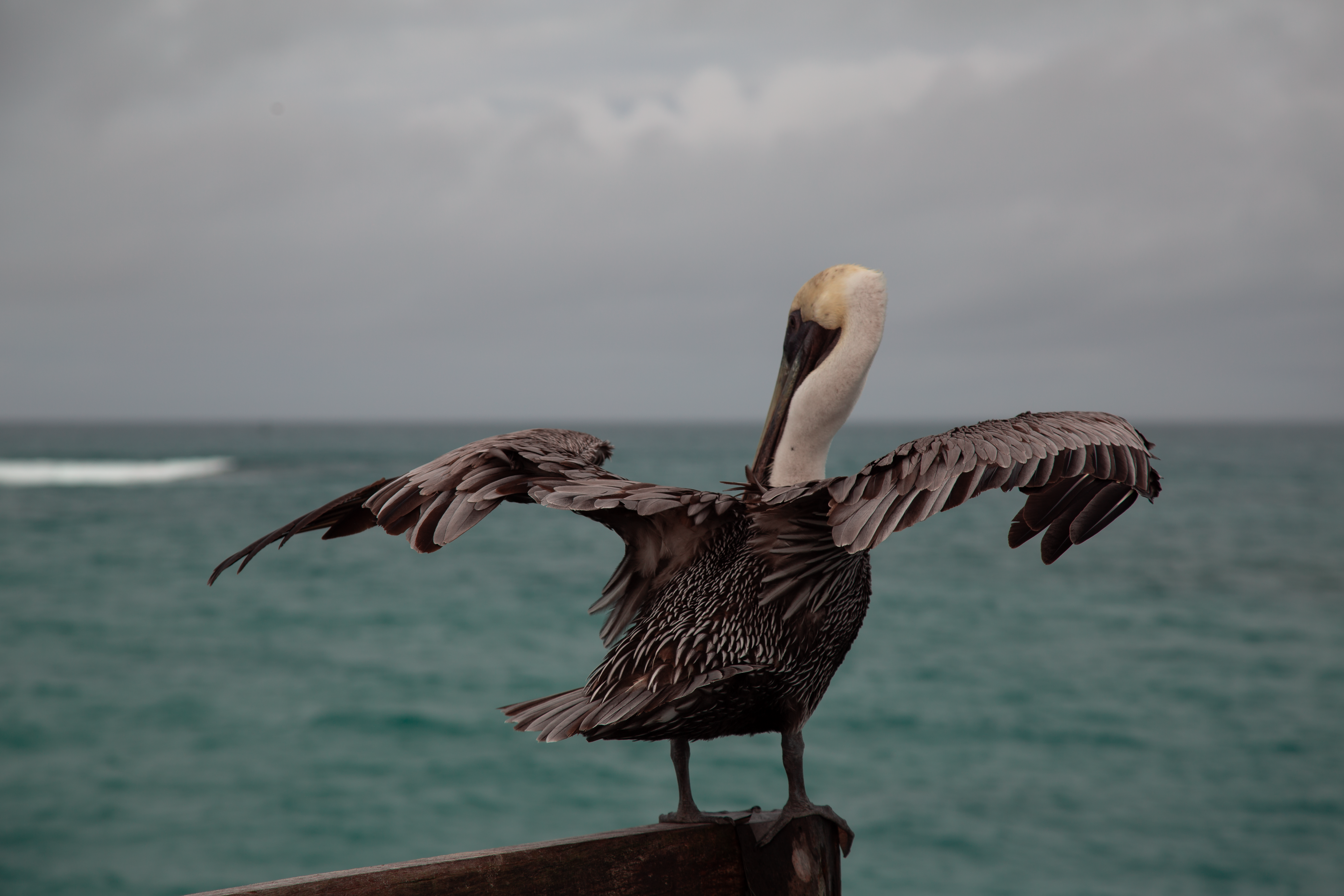 Photo by sofiatheexplorer