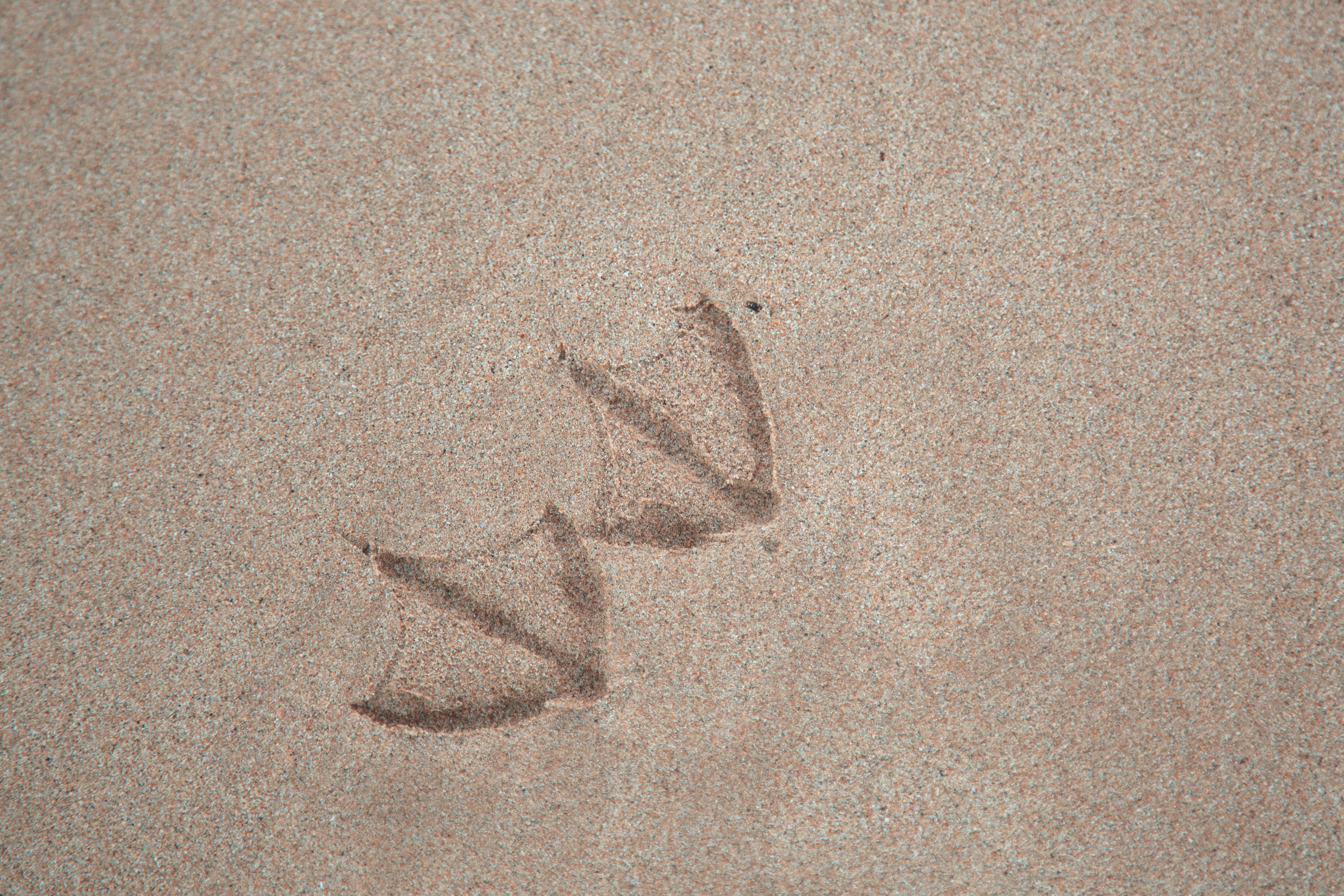 Photo by sofiatheexplorer