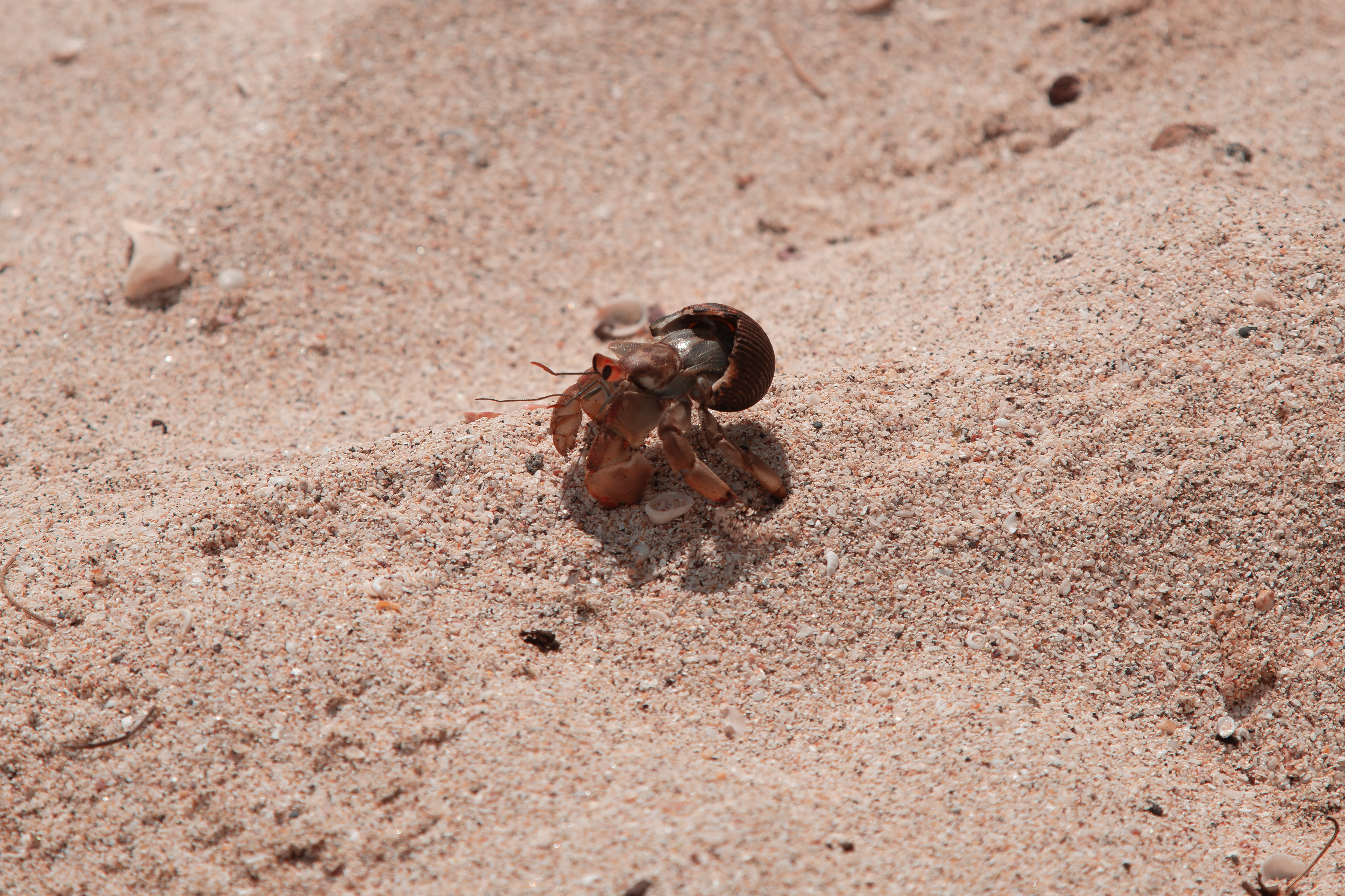 Photo by sofiatheexplorer