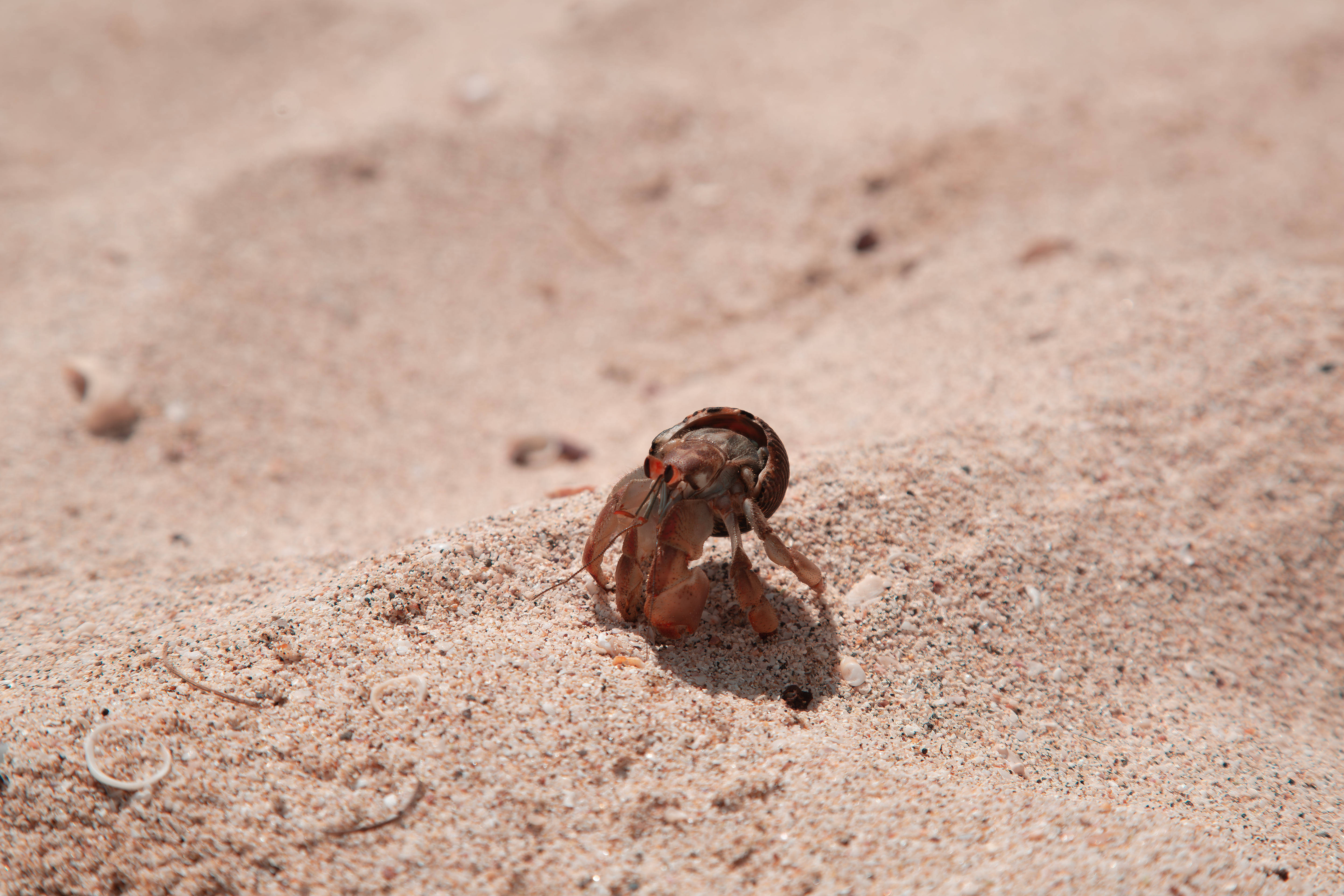 Photo by sofiatheexplorer