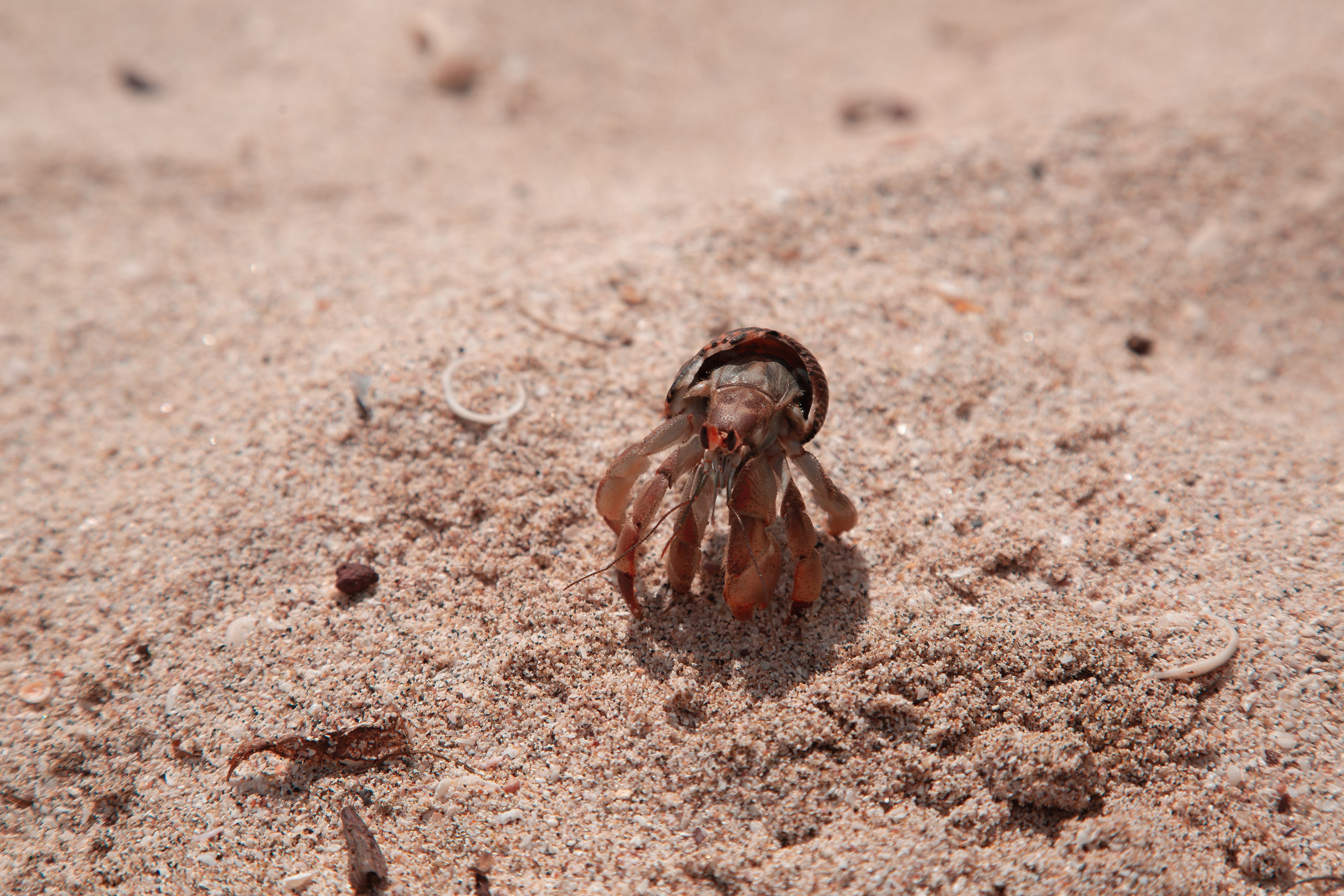 Photo by sofiatheexplorer