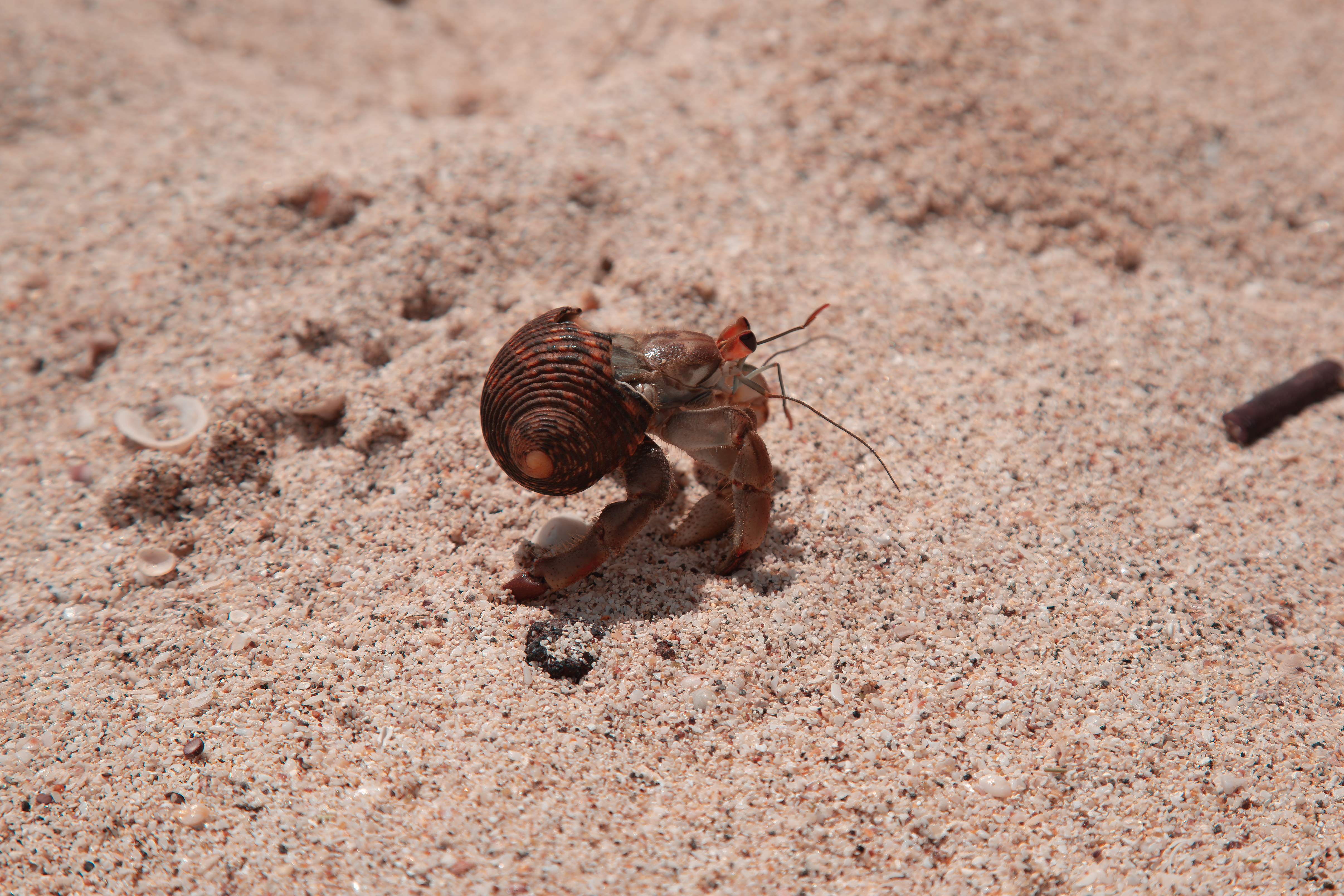 Photo by sofiatheexplorer