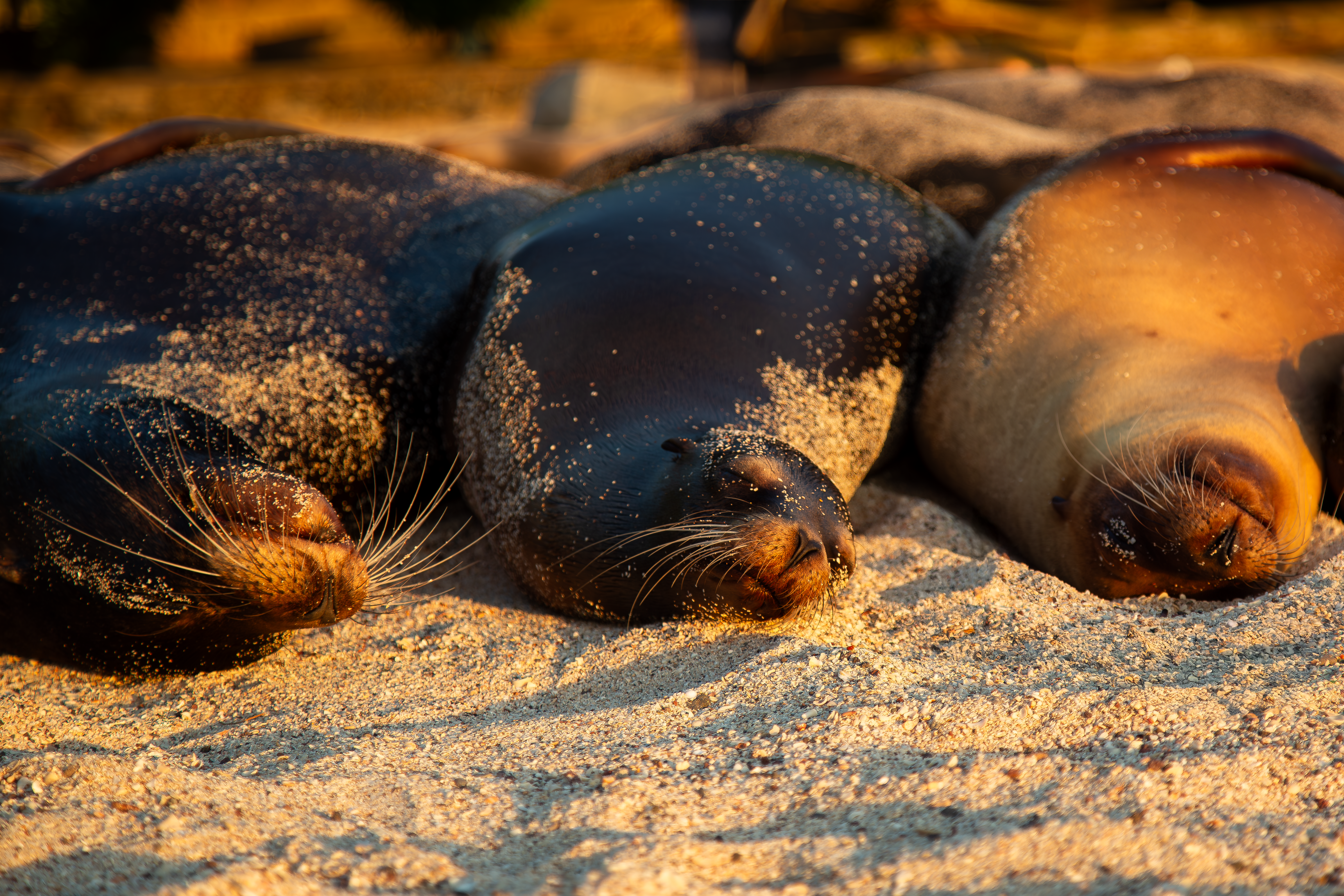 Photo by sofiatheexplorer