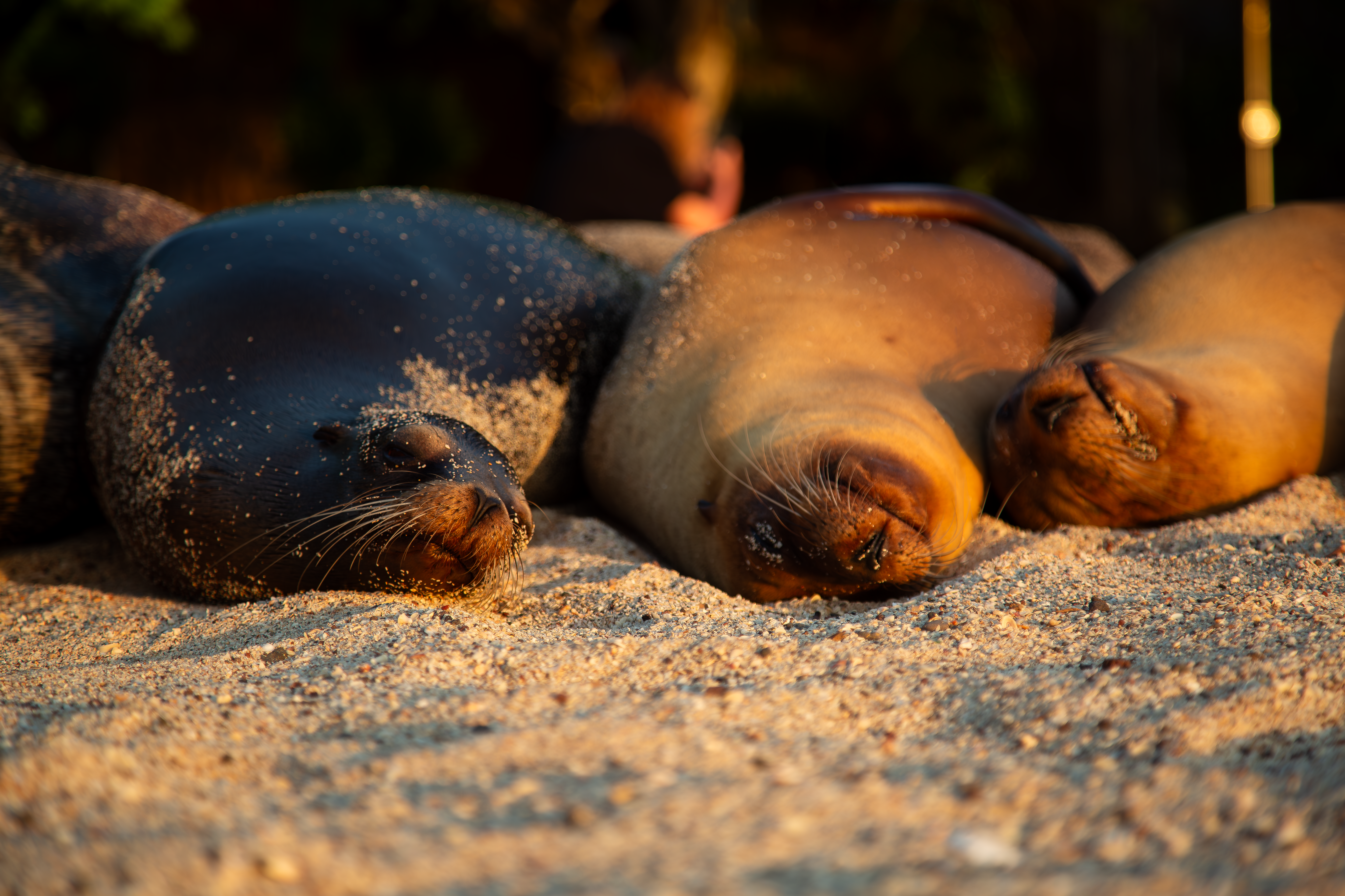 Photo by sofiatheexplorer