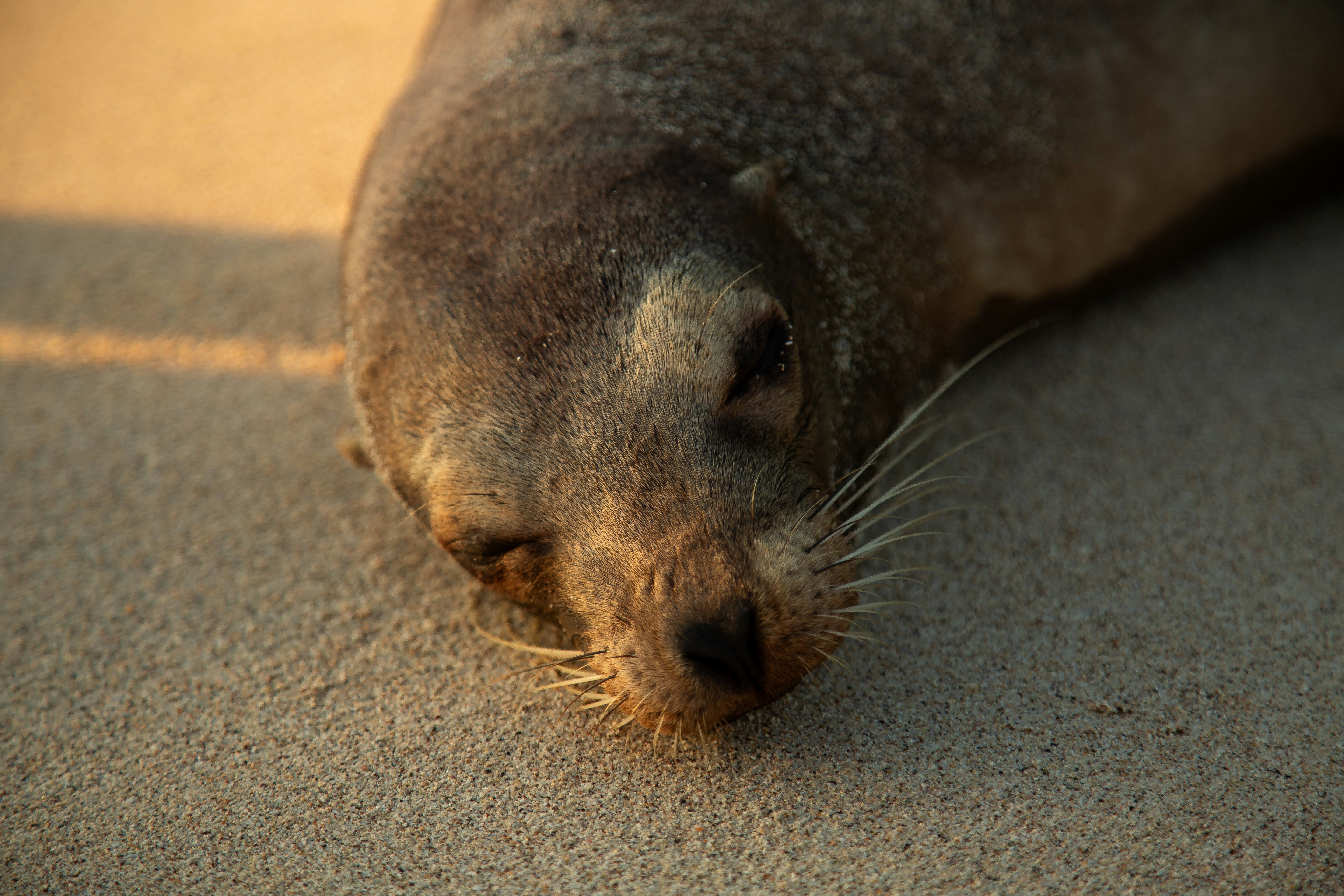 Photo by sofiatheexplorer