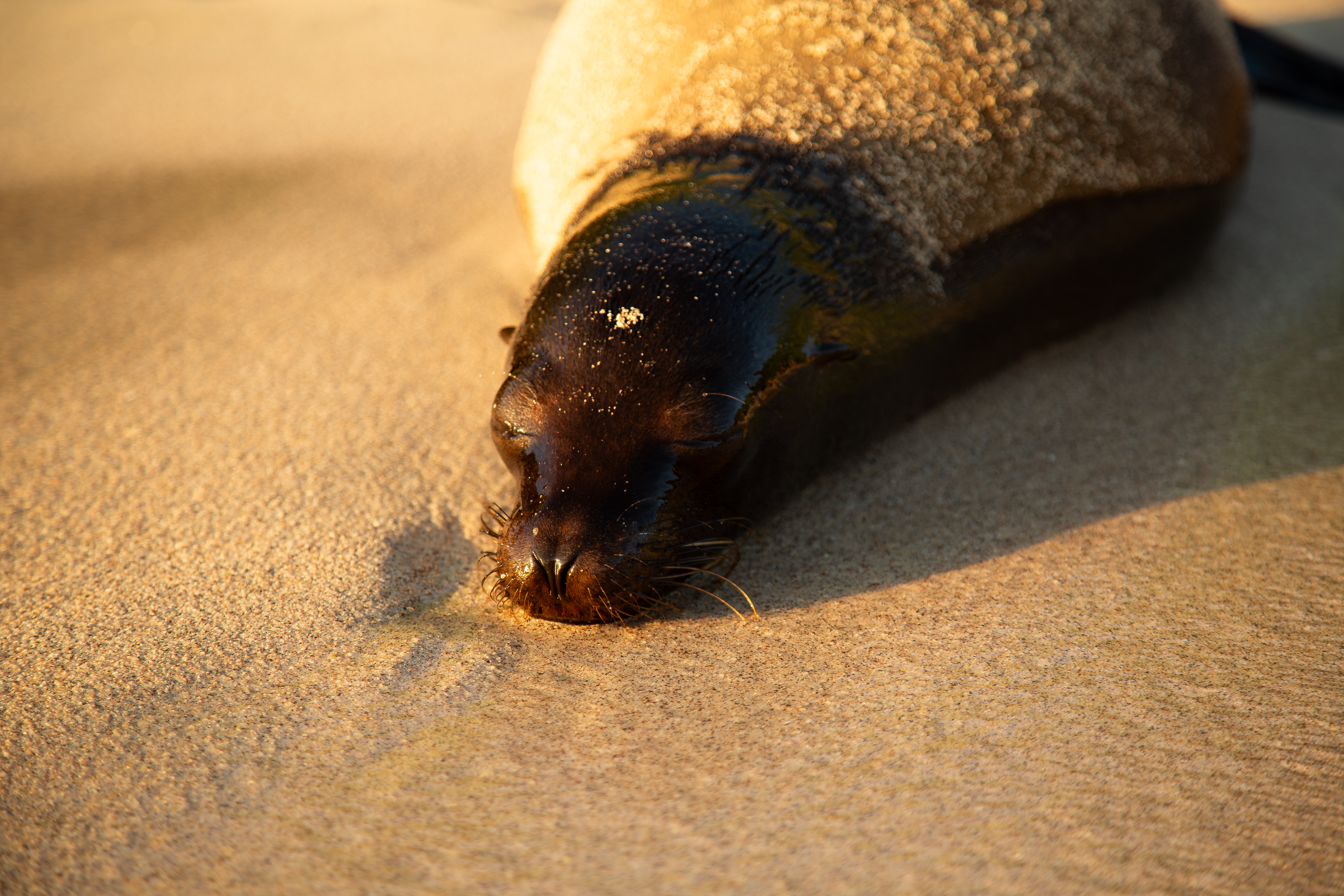 Photo by sofiatheexplorer