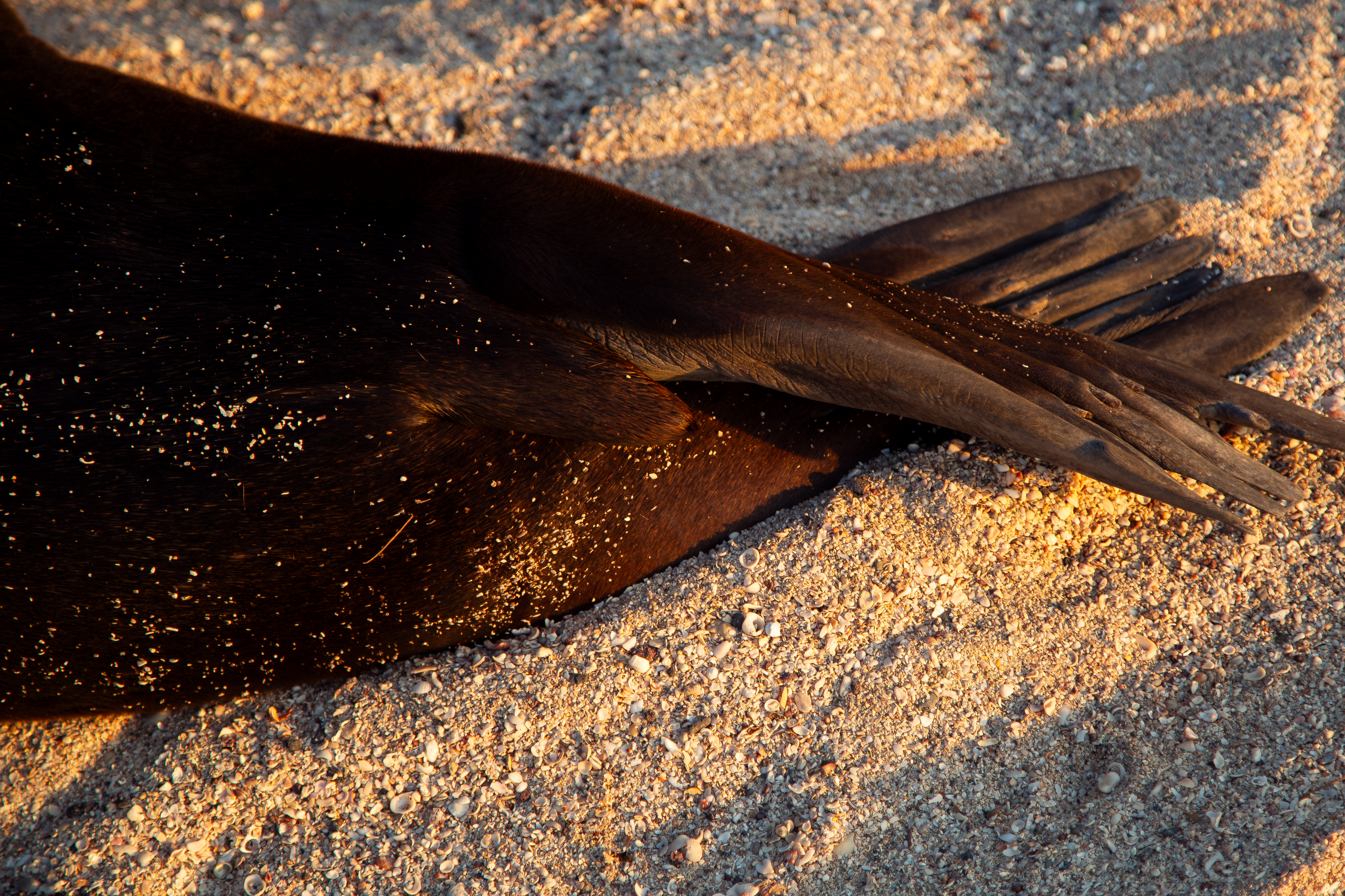 Galapagos Islands photo