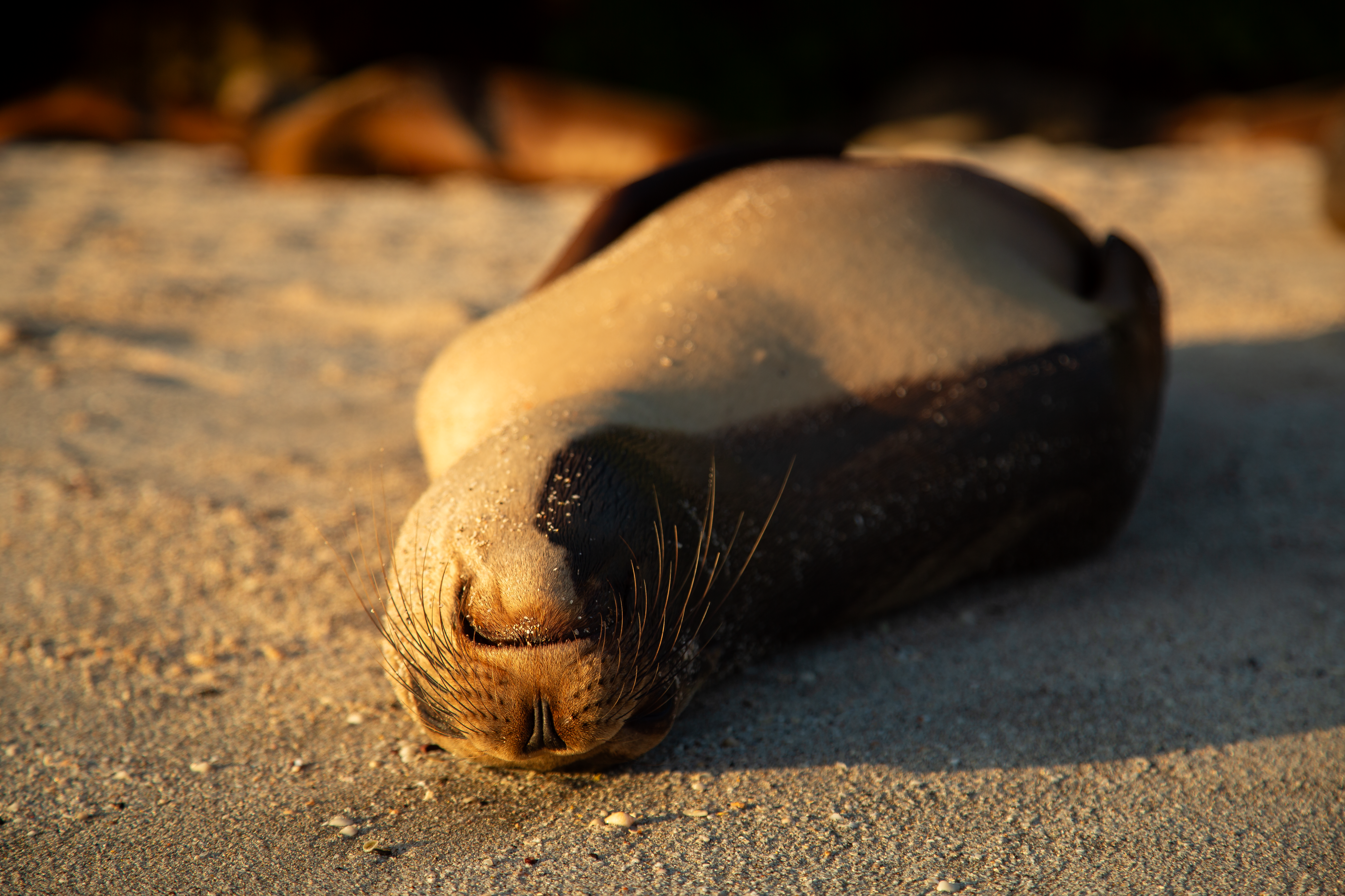 Photo by sofiatheexplorer