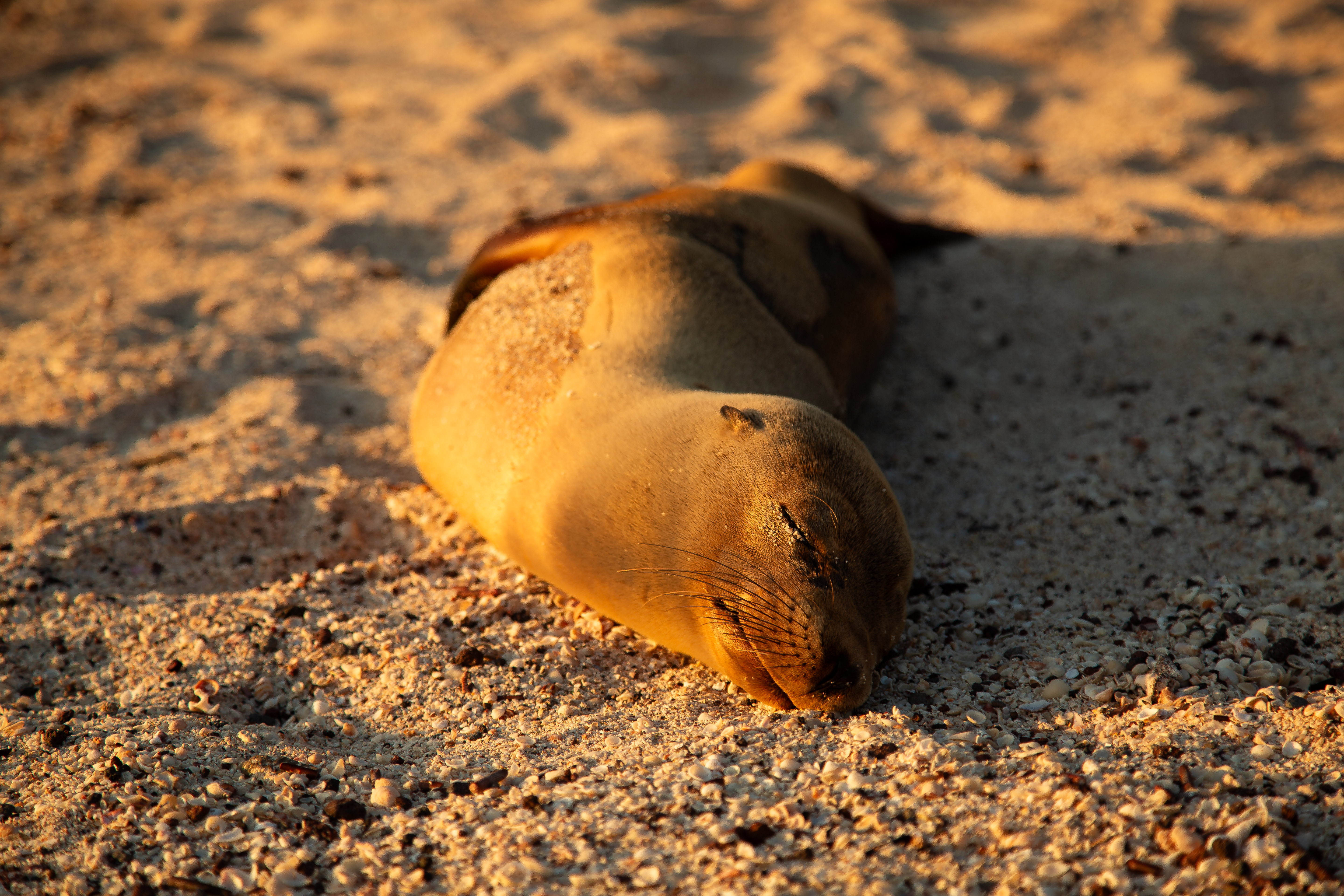 Photo by sofiatheexplorer