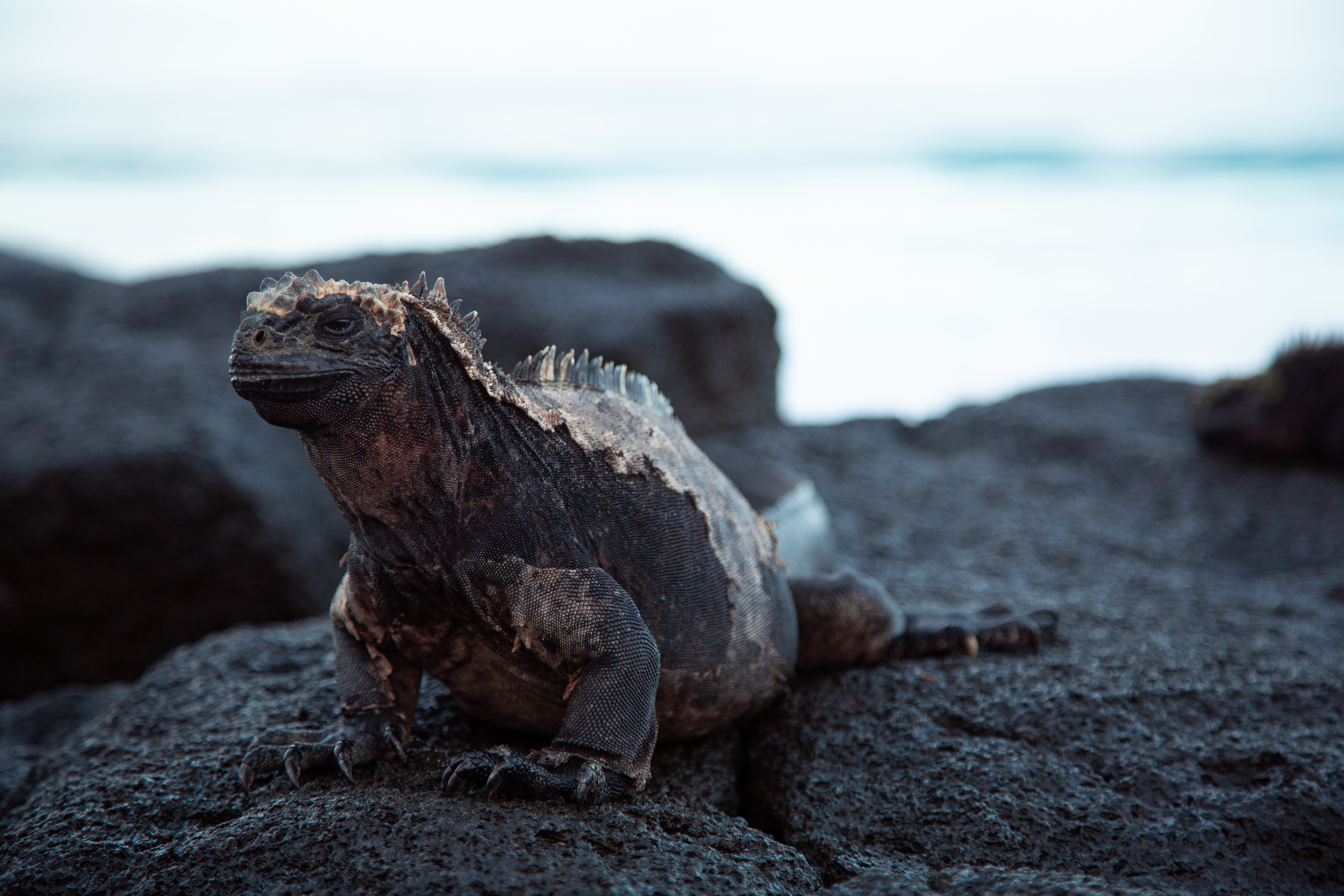 Photo by sofiatheexplorer