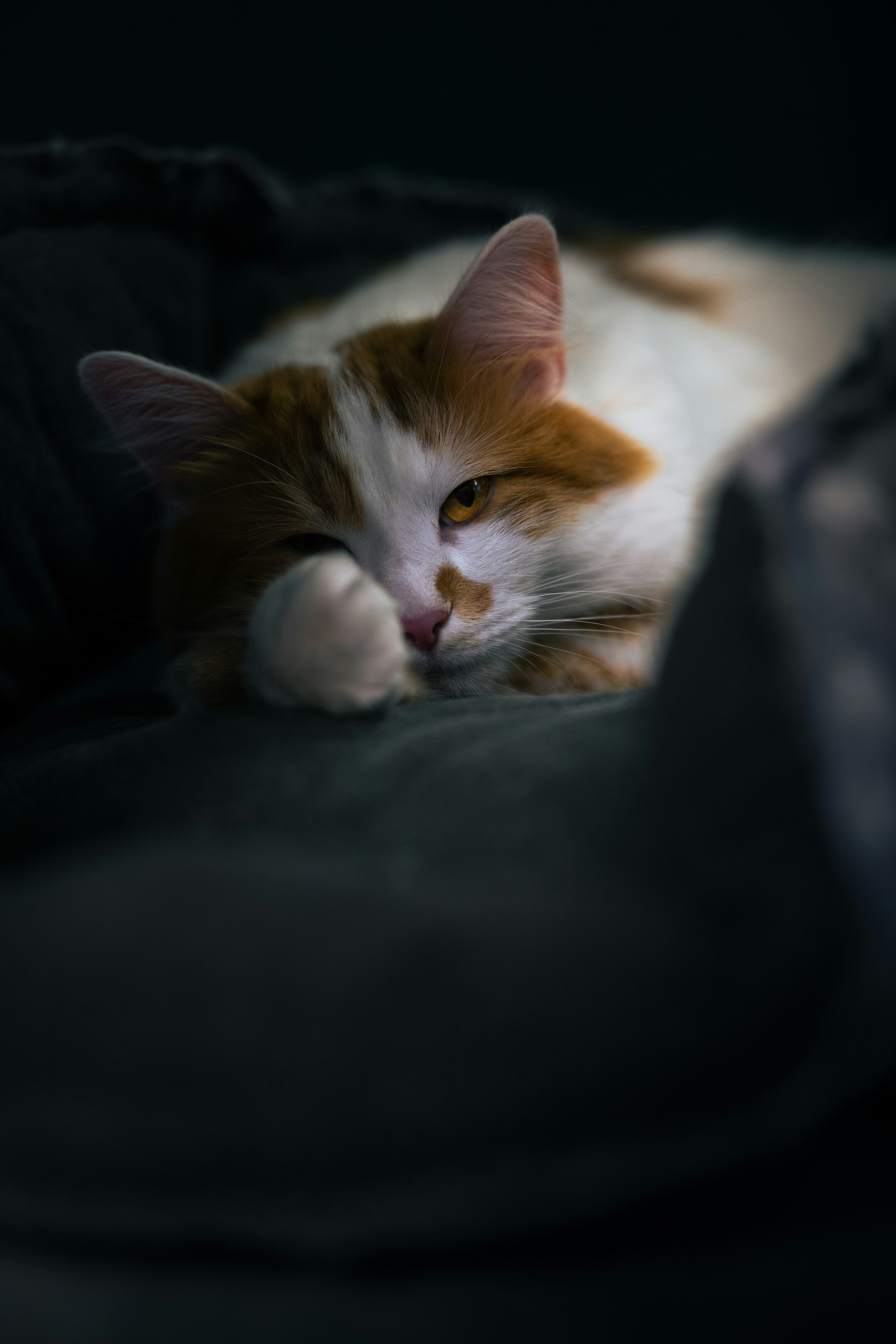 A Soothing Evening Wind-Down (image credits: unsplash)