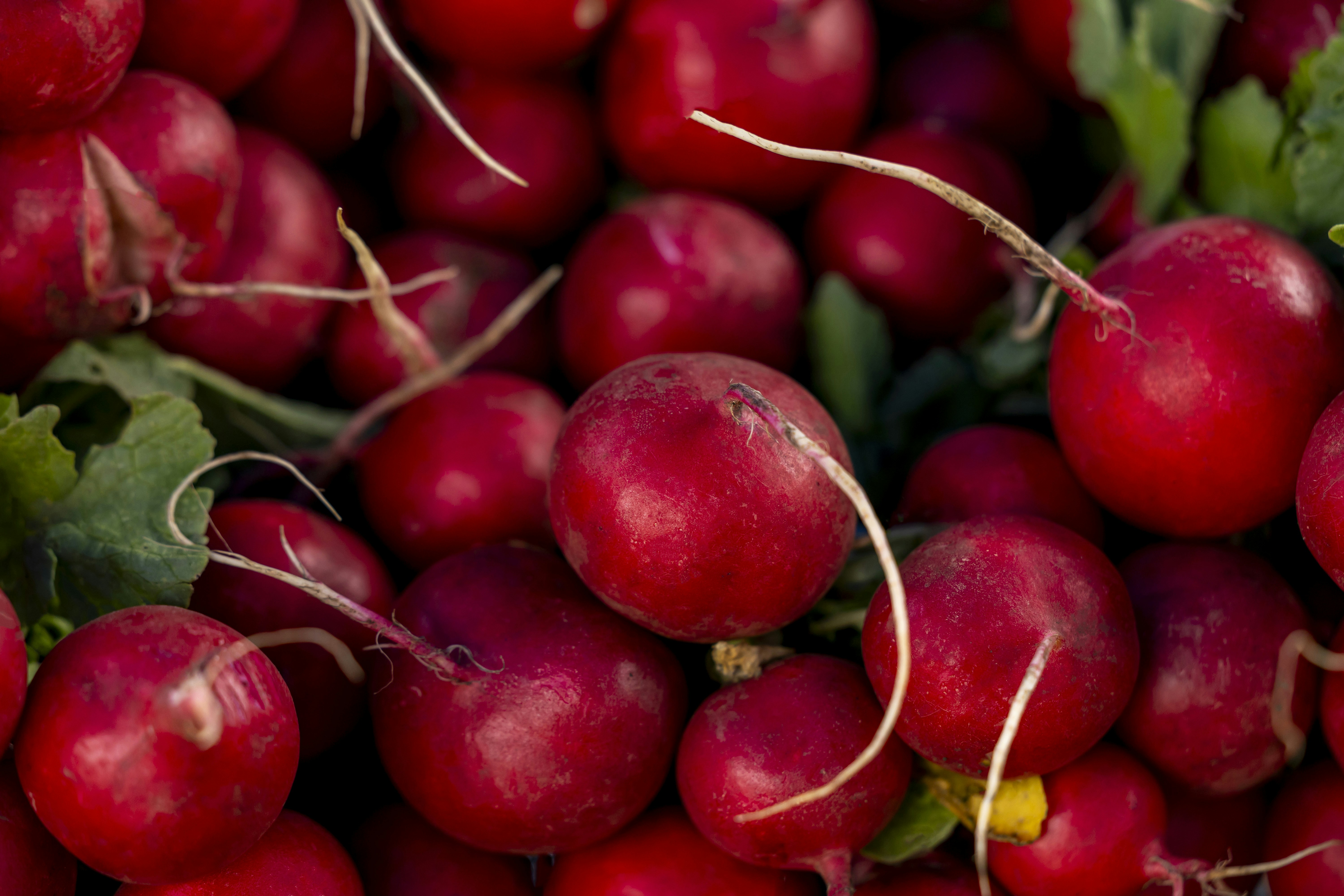 Photo by leo_visions_