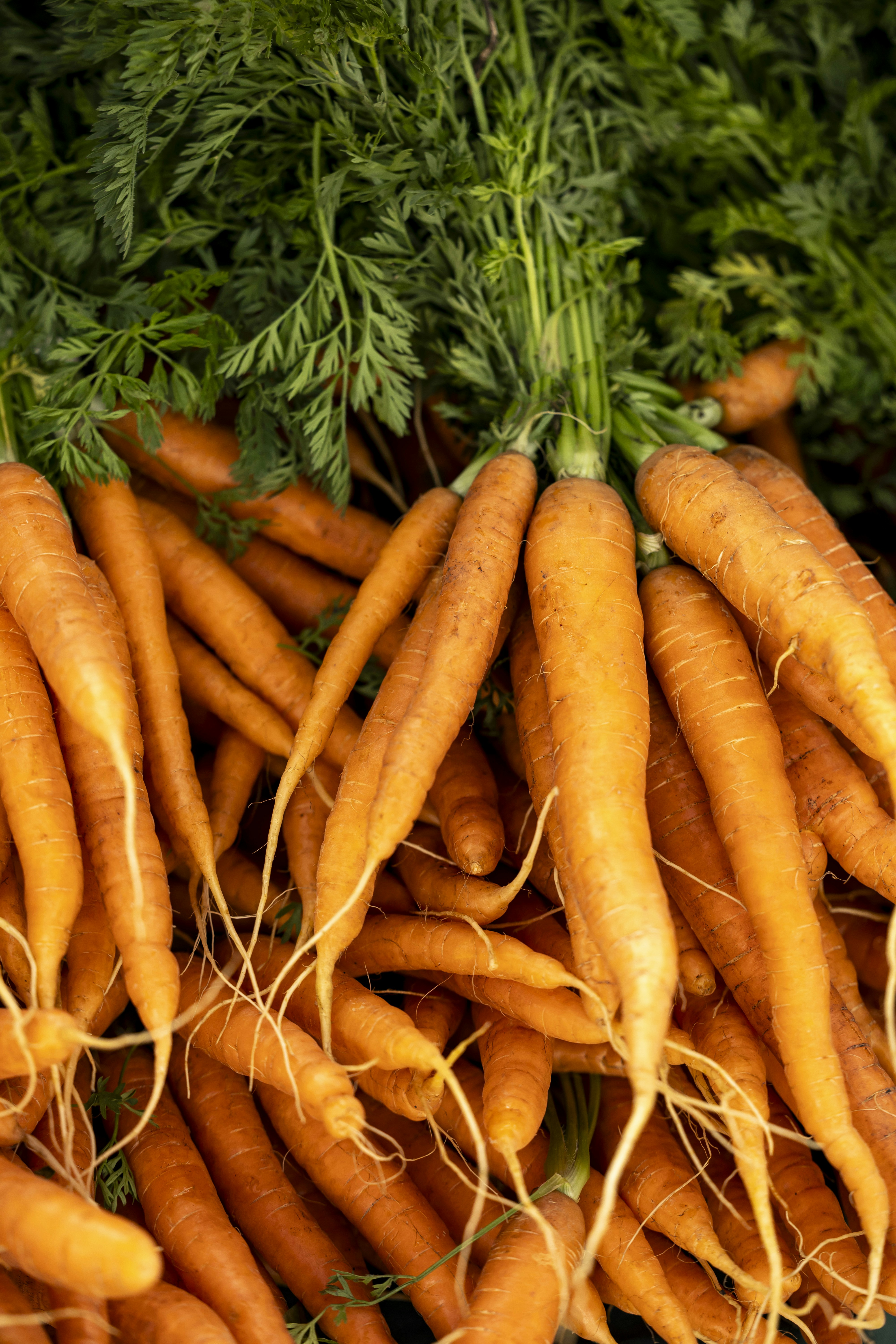 Photo by leo_visions_