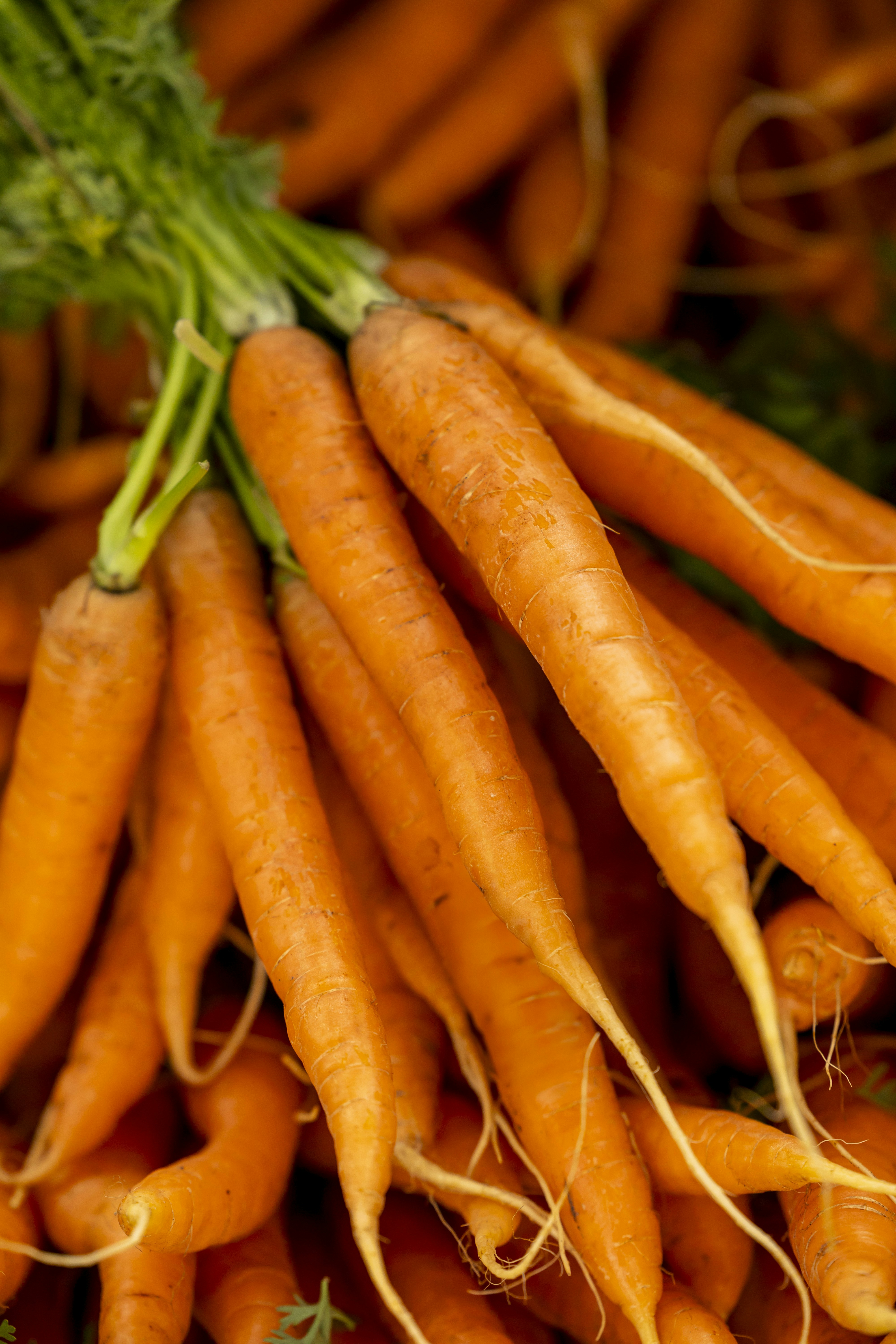 Photo by leo_visions_