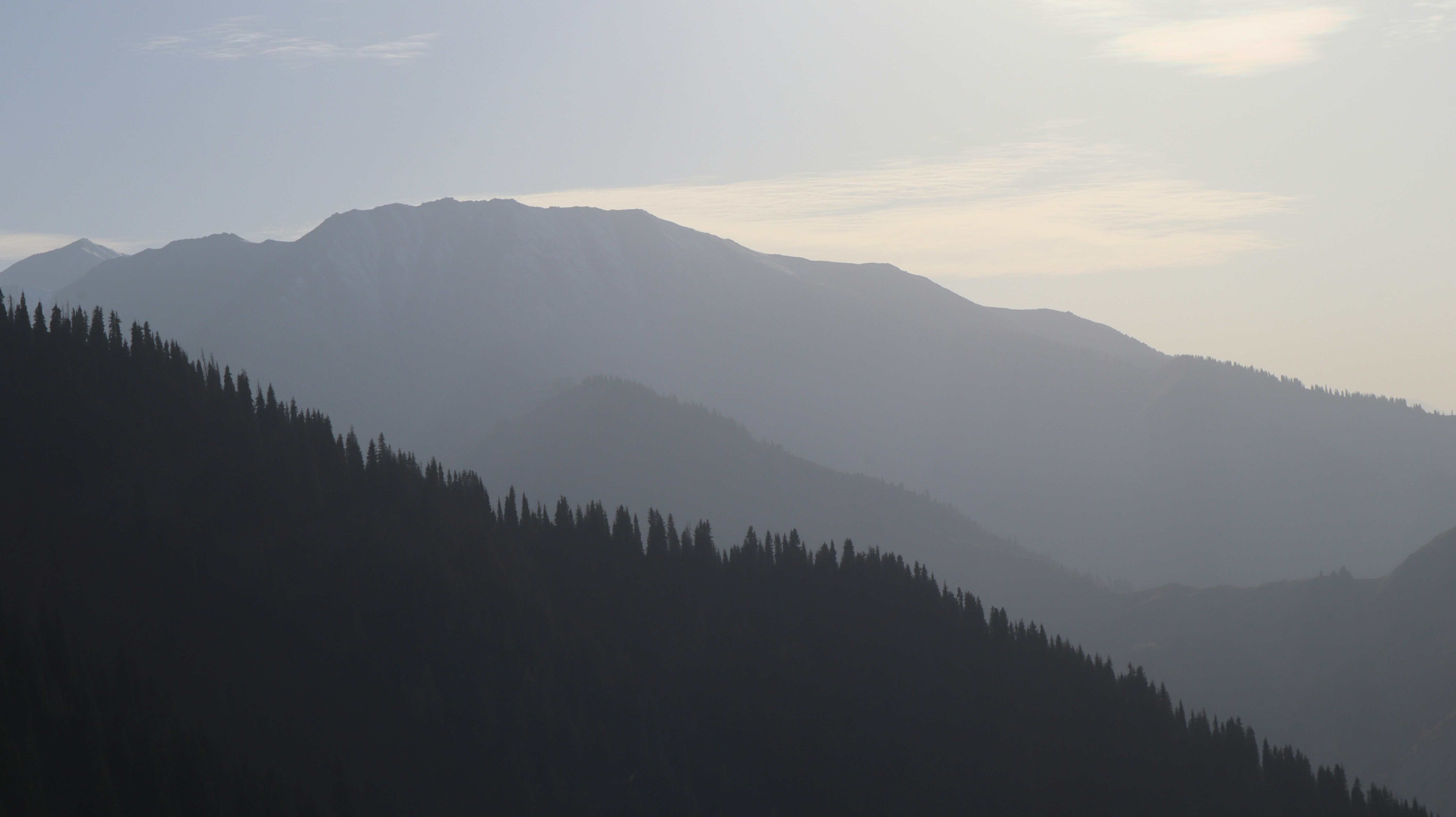 Photo by dynamicpilot