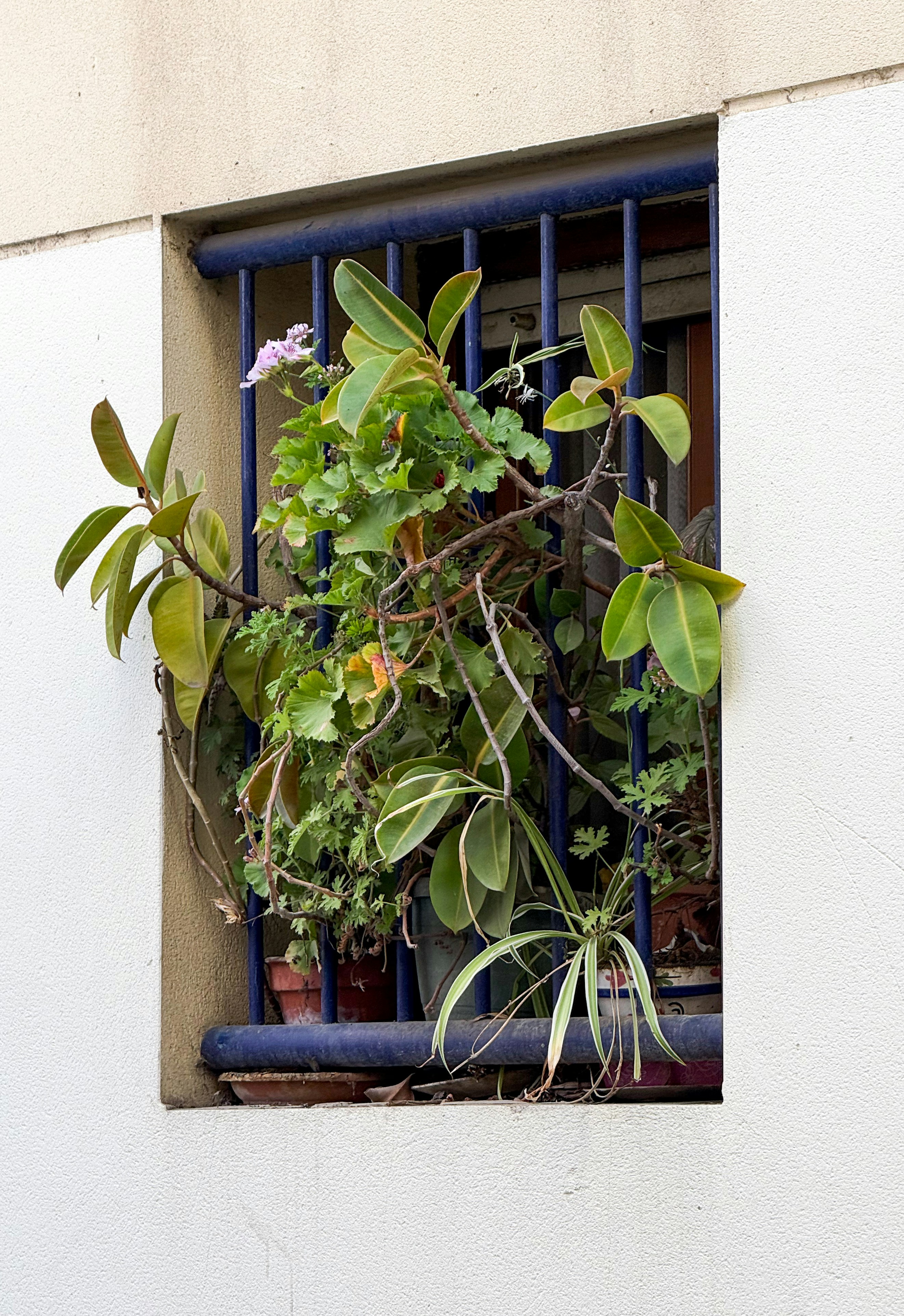 Photo by feliciafelicia